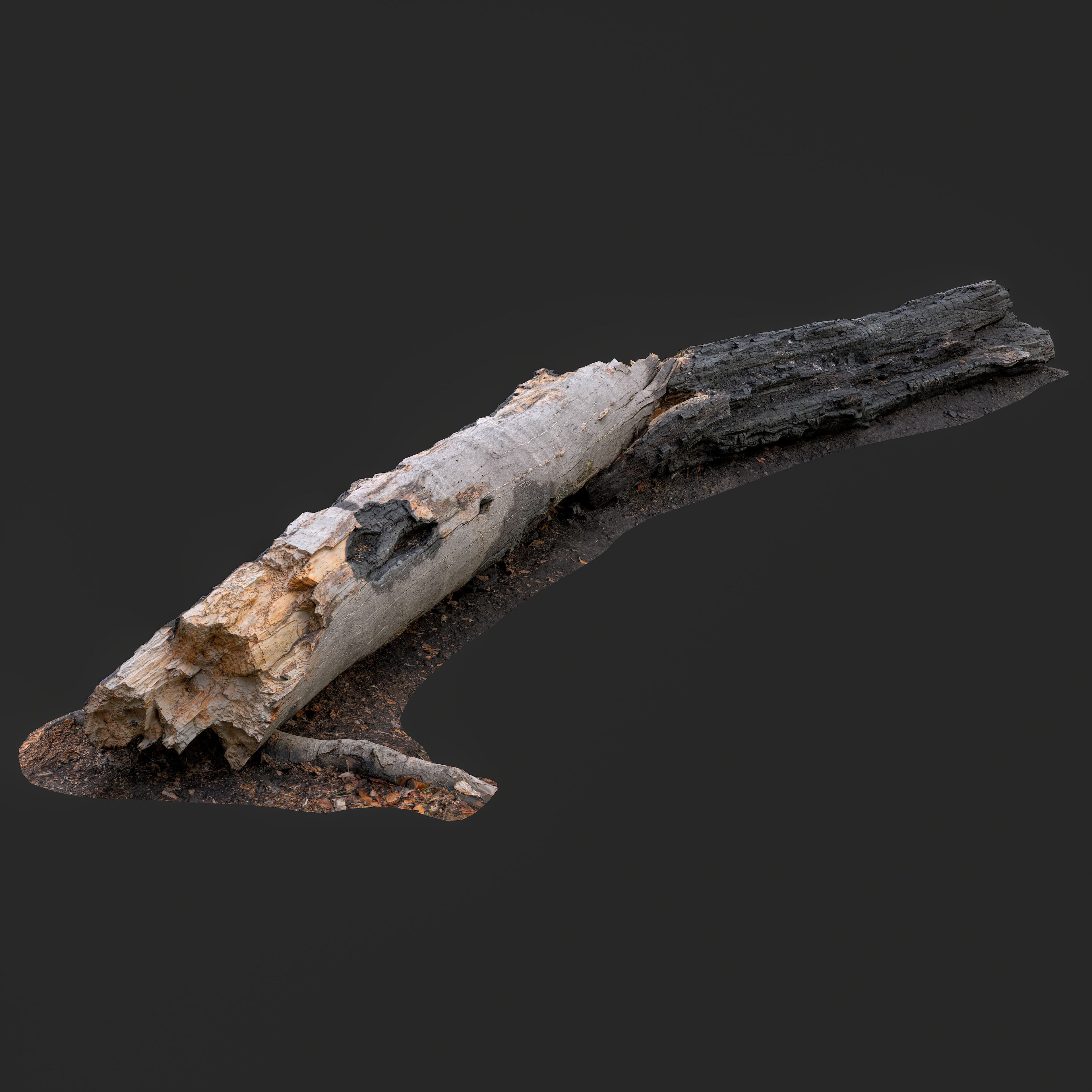 Photogrammetry-based 3D model of a Burned Fallen Tree Trunk with charred bark, exposed inner wood, and realistic fire damage textures.