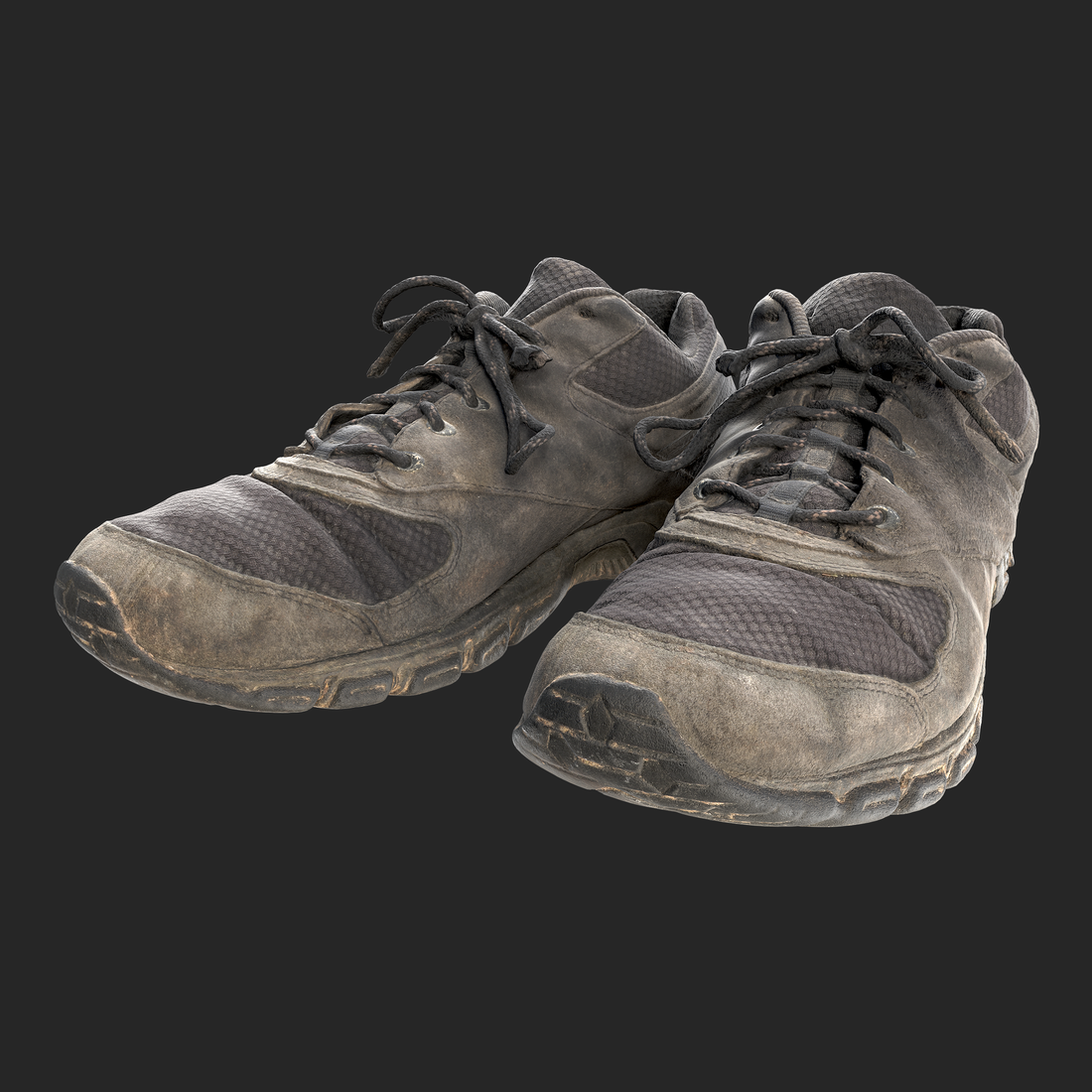 3D Model of Hiking Shoes