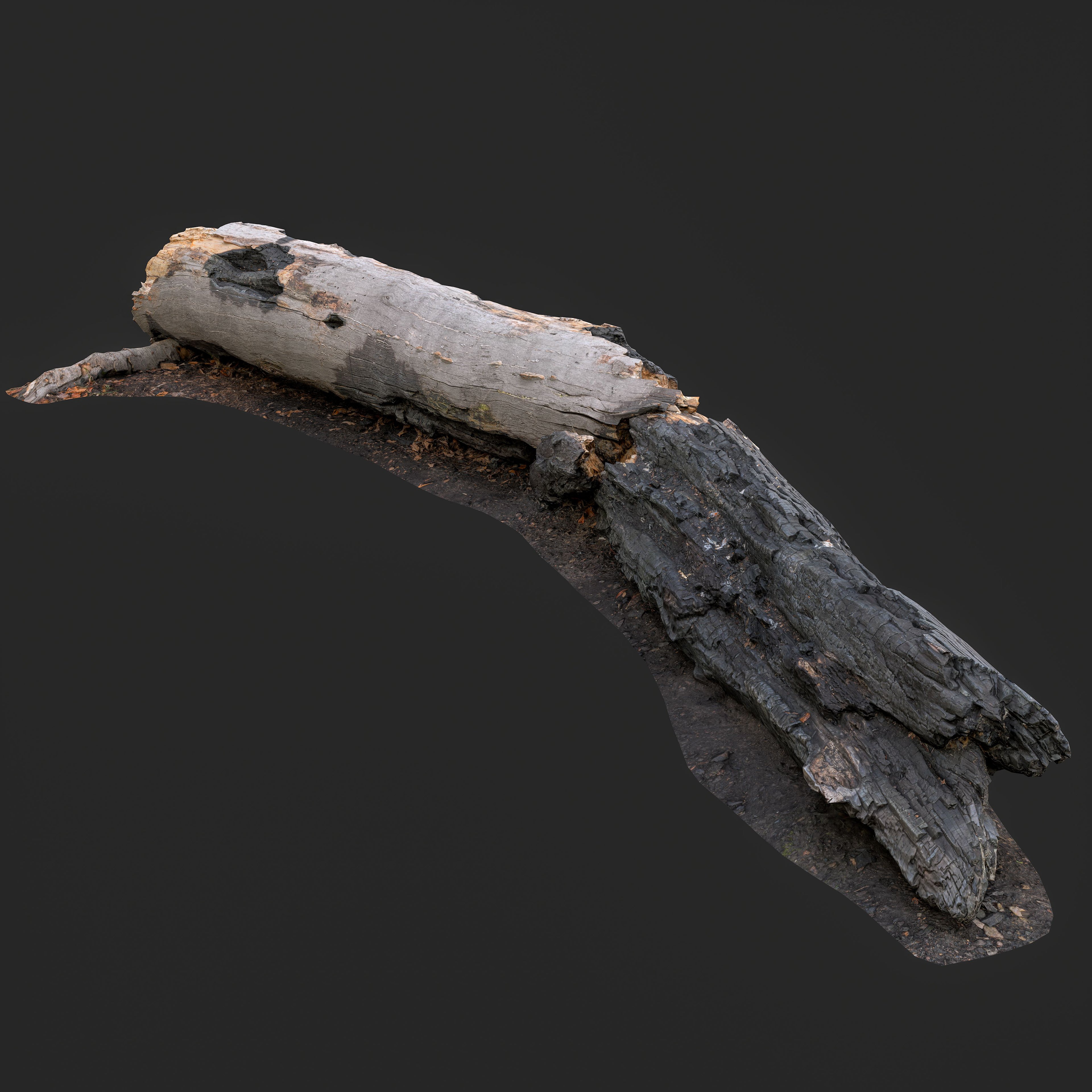 3D Burned Fallen Tree Trunk