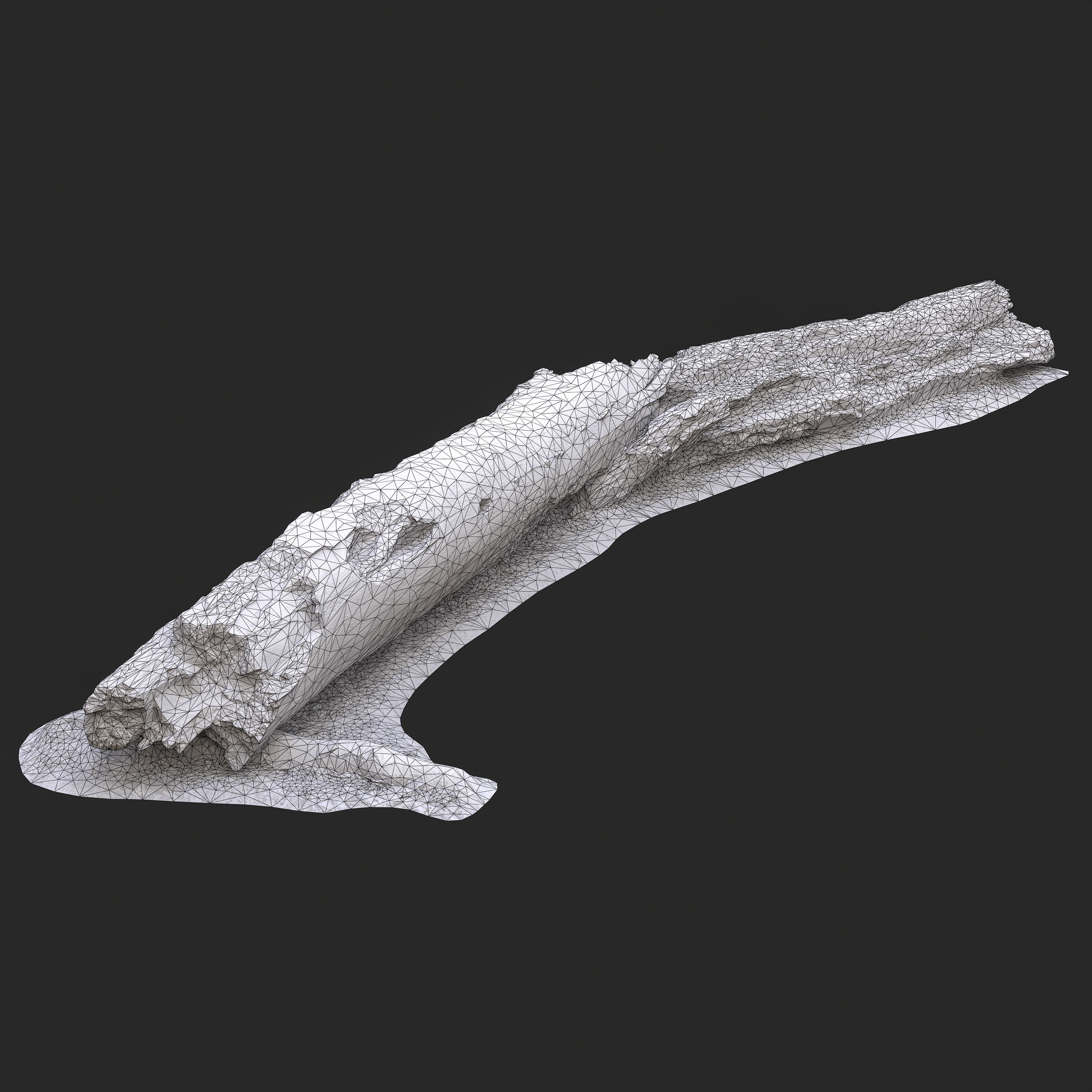 3D Burned Fallen Tree Trunk