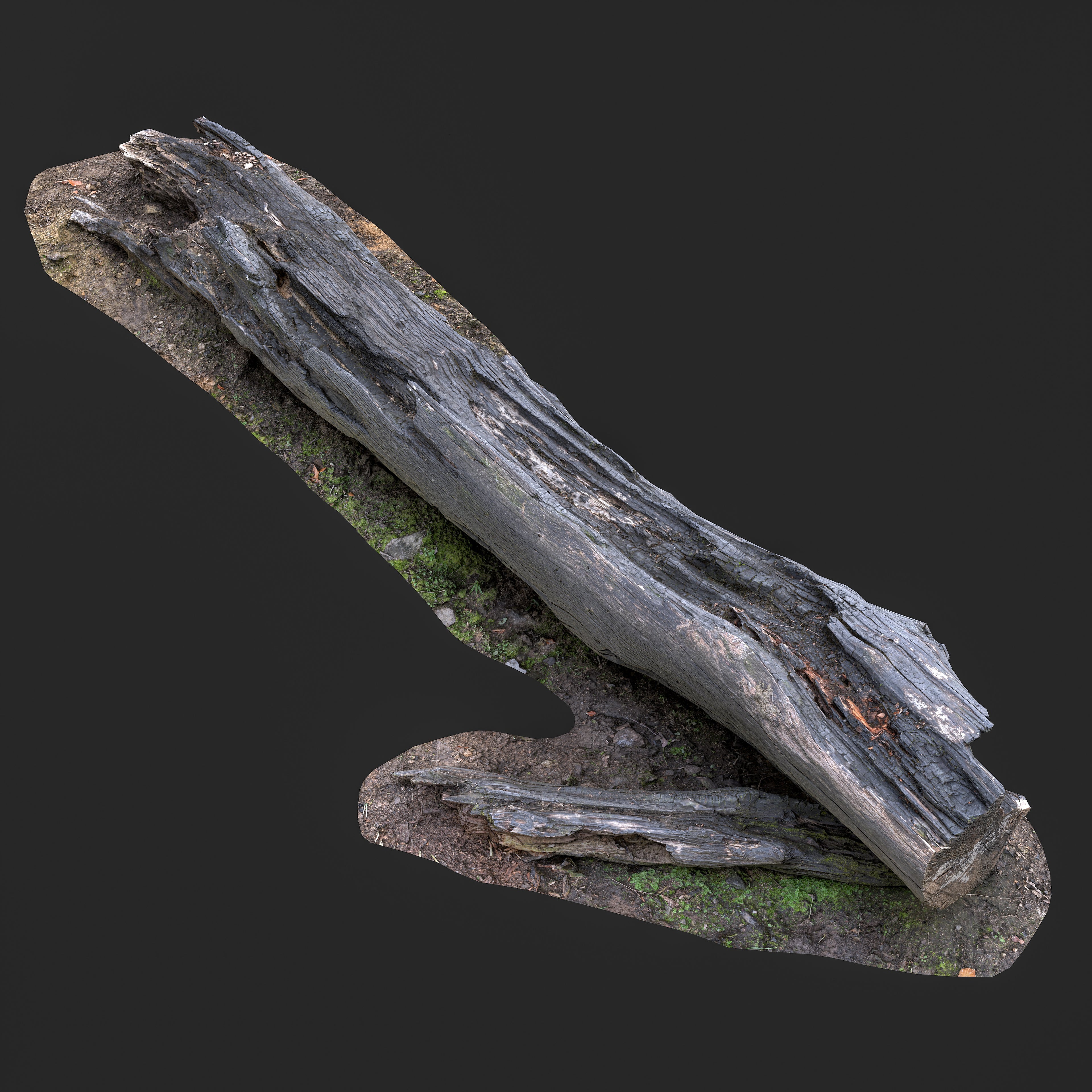 3D Burned Tree Trunk