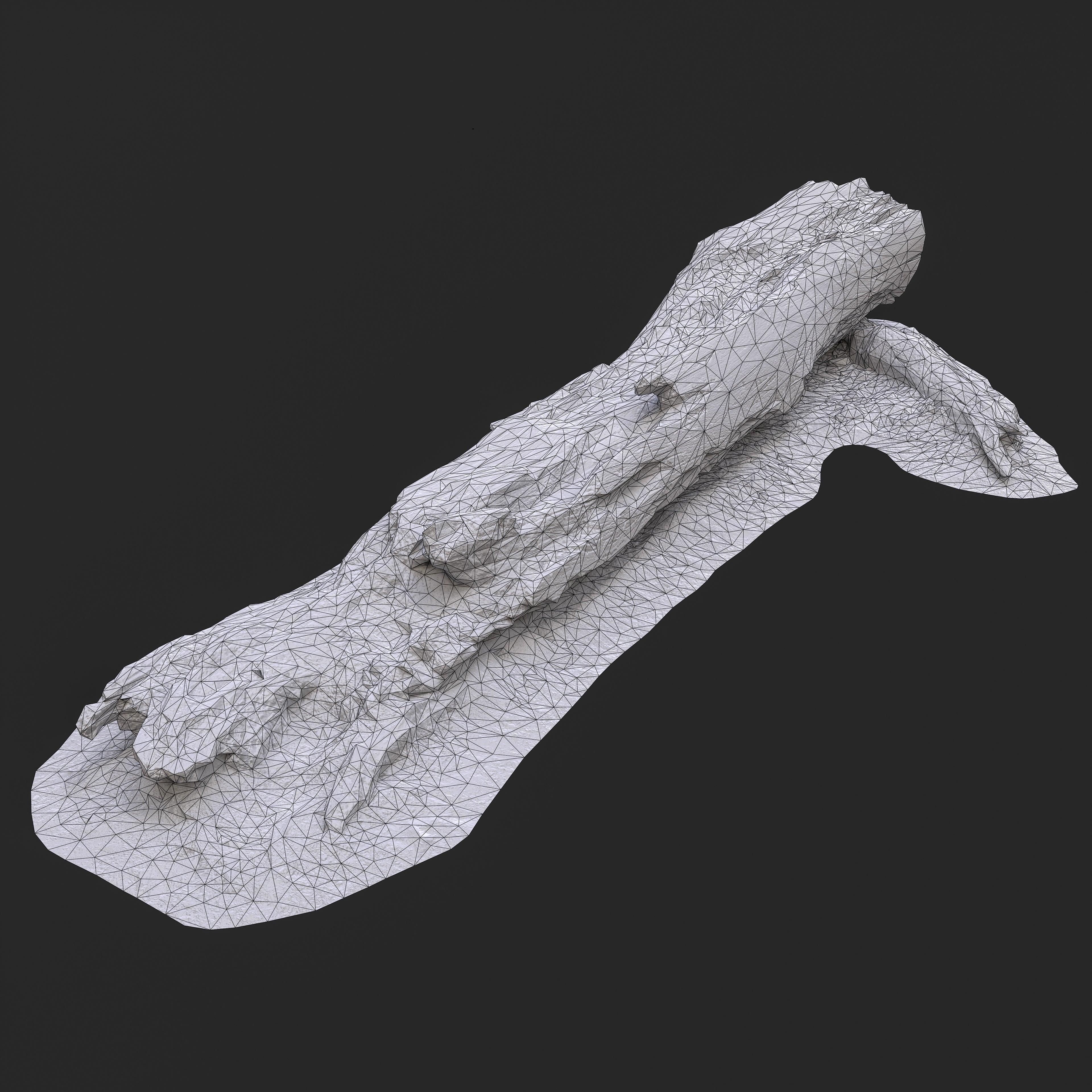 3D Burned Tree Trunk