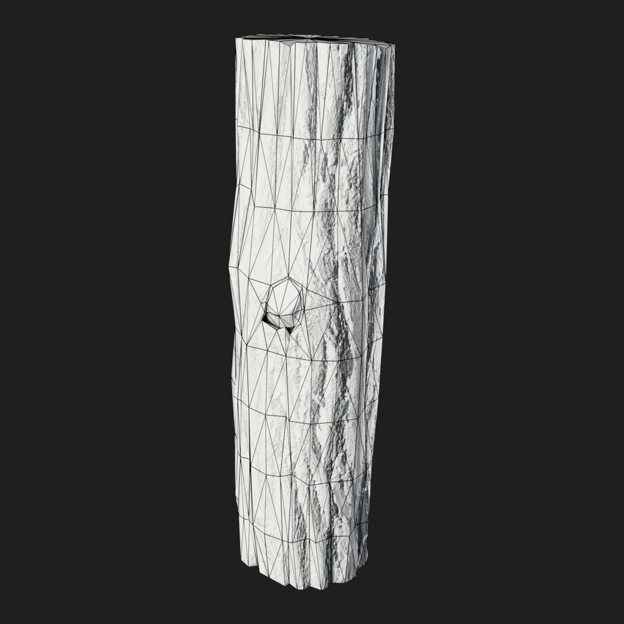 3D Wooden Log Metr