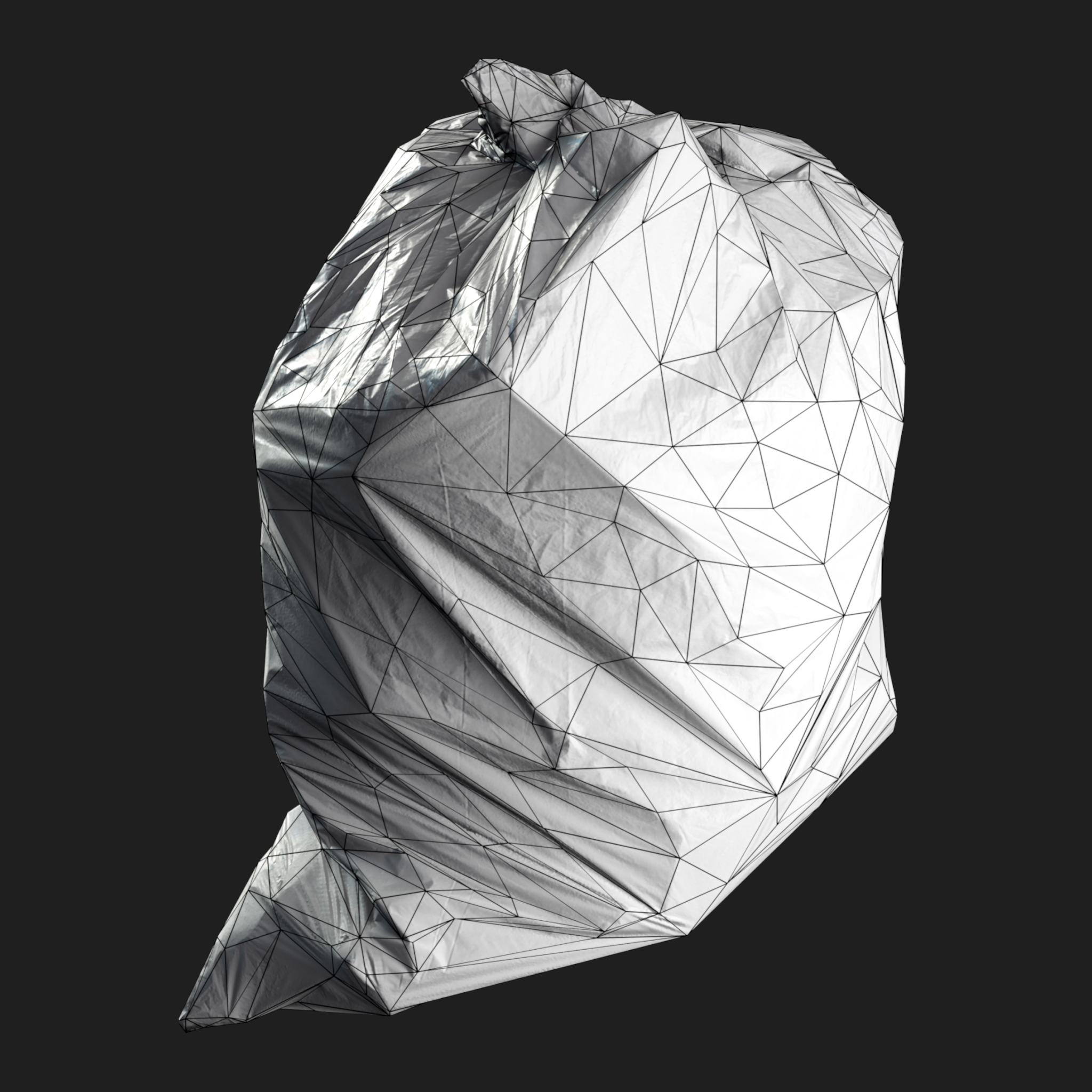 3D Garbage Bag