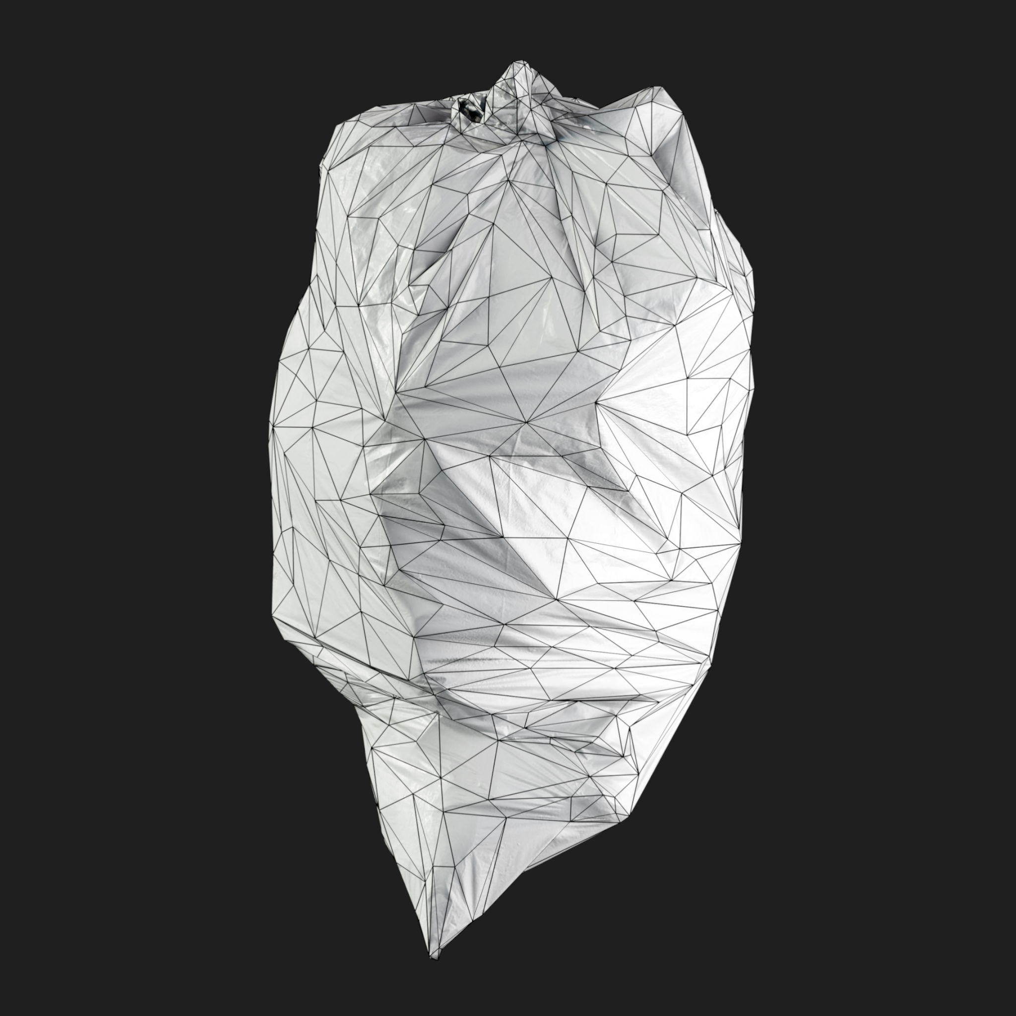 3D Garbage Bag