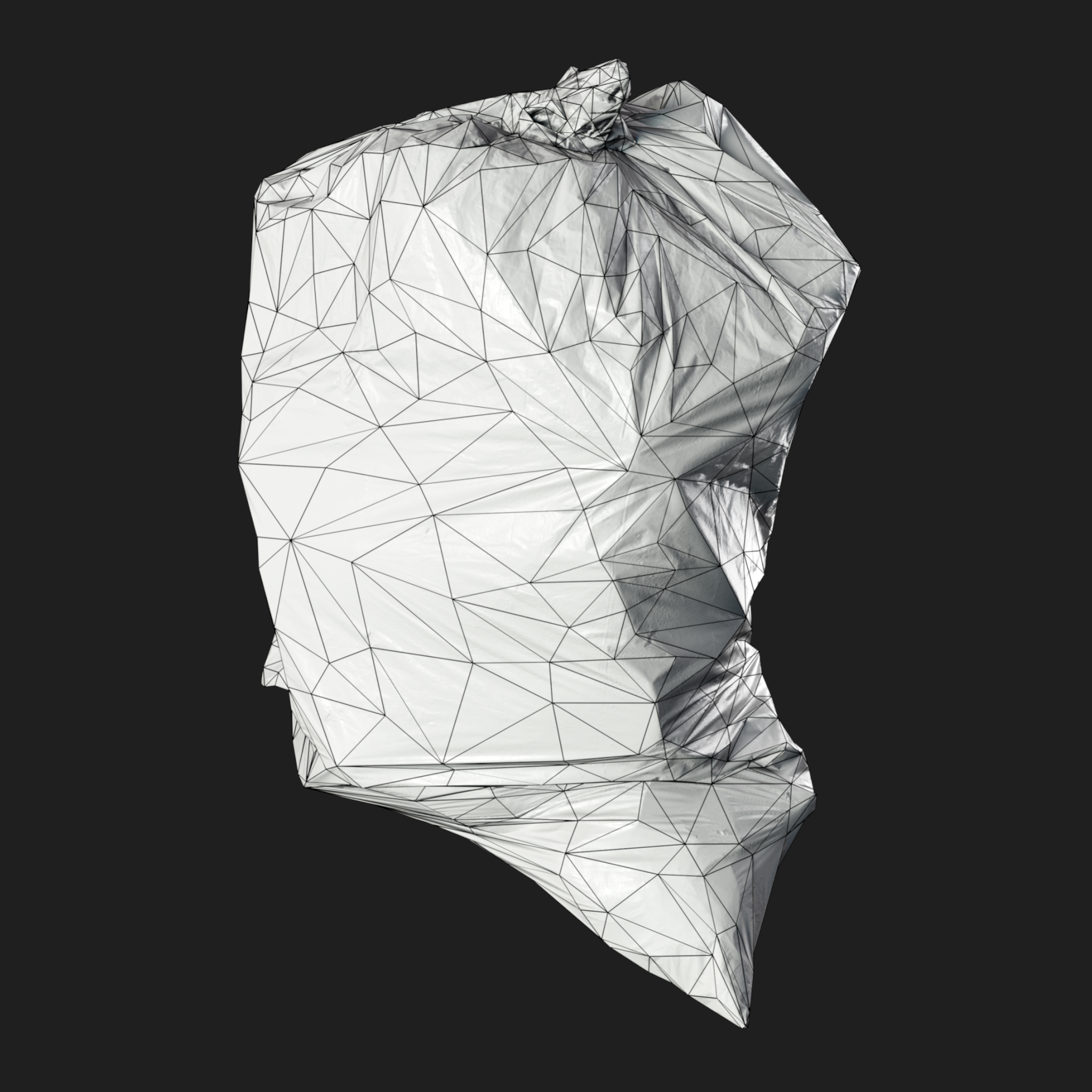 3D Garbage Bag