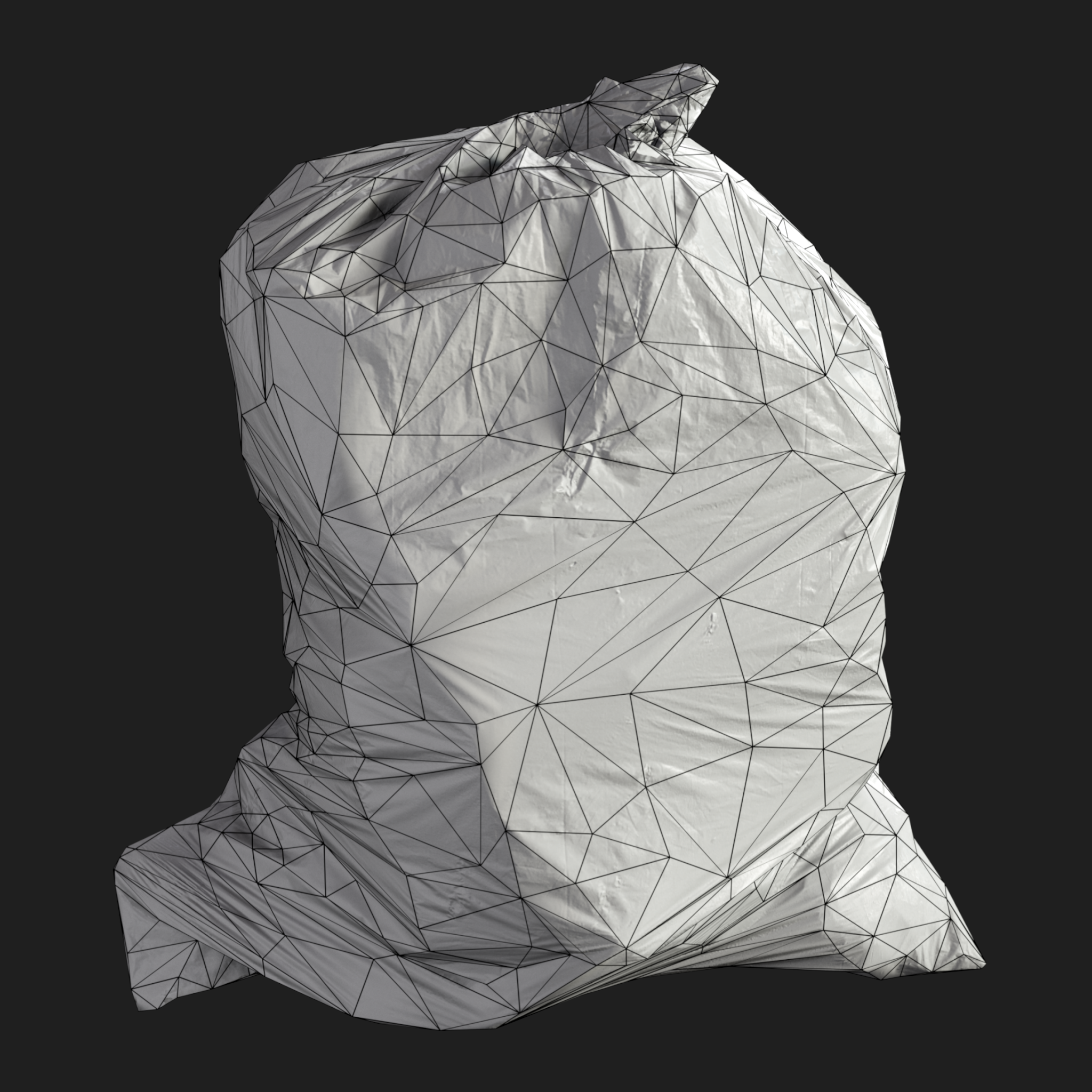 3D Garbage Bag