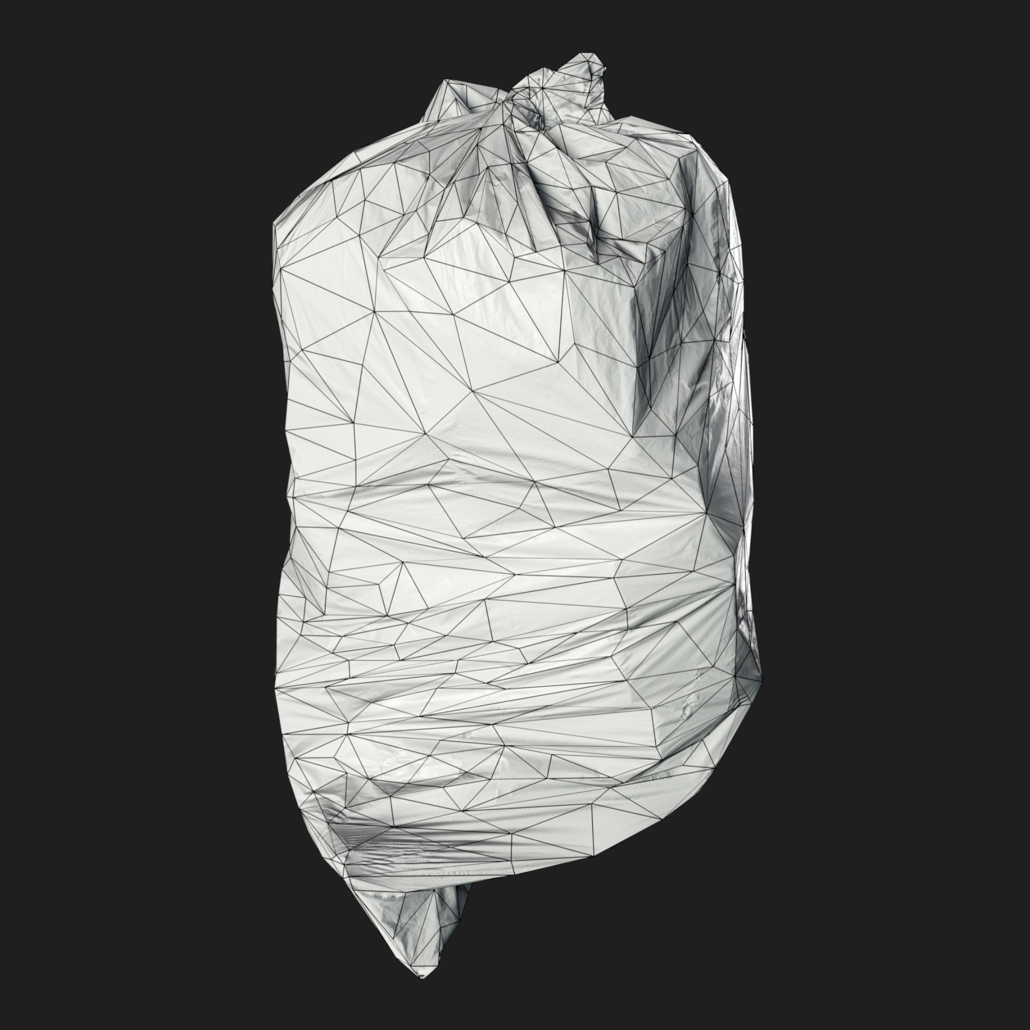 3D Garbage Bag