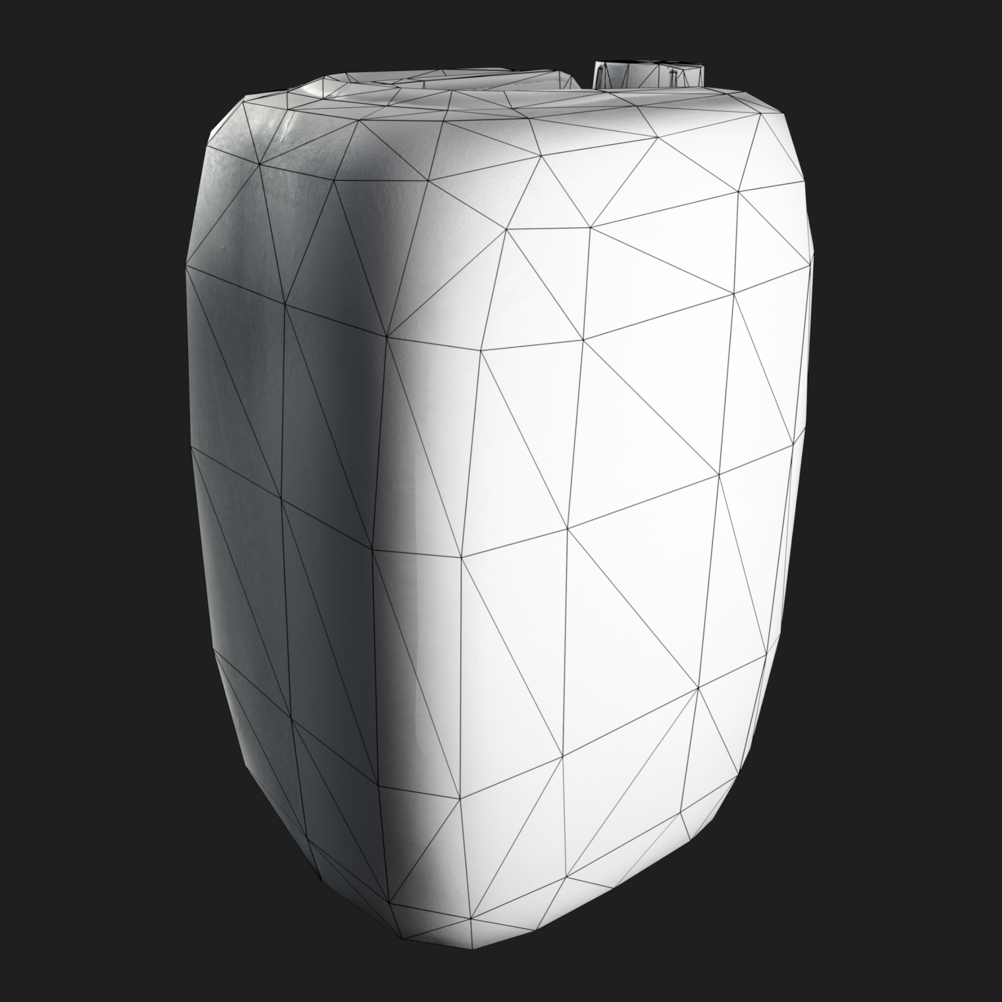 3D Gallon Plastic White wireframe