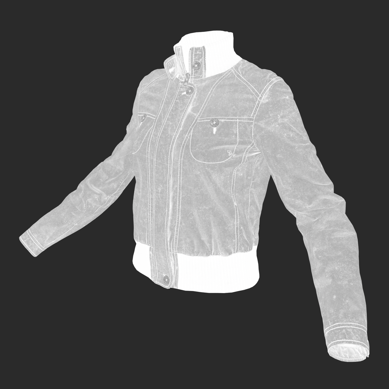 3D model of Leather Jacket_roughness