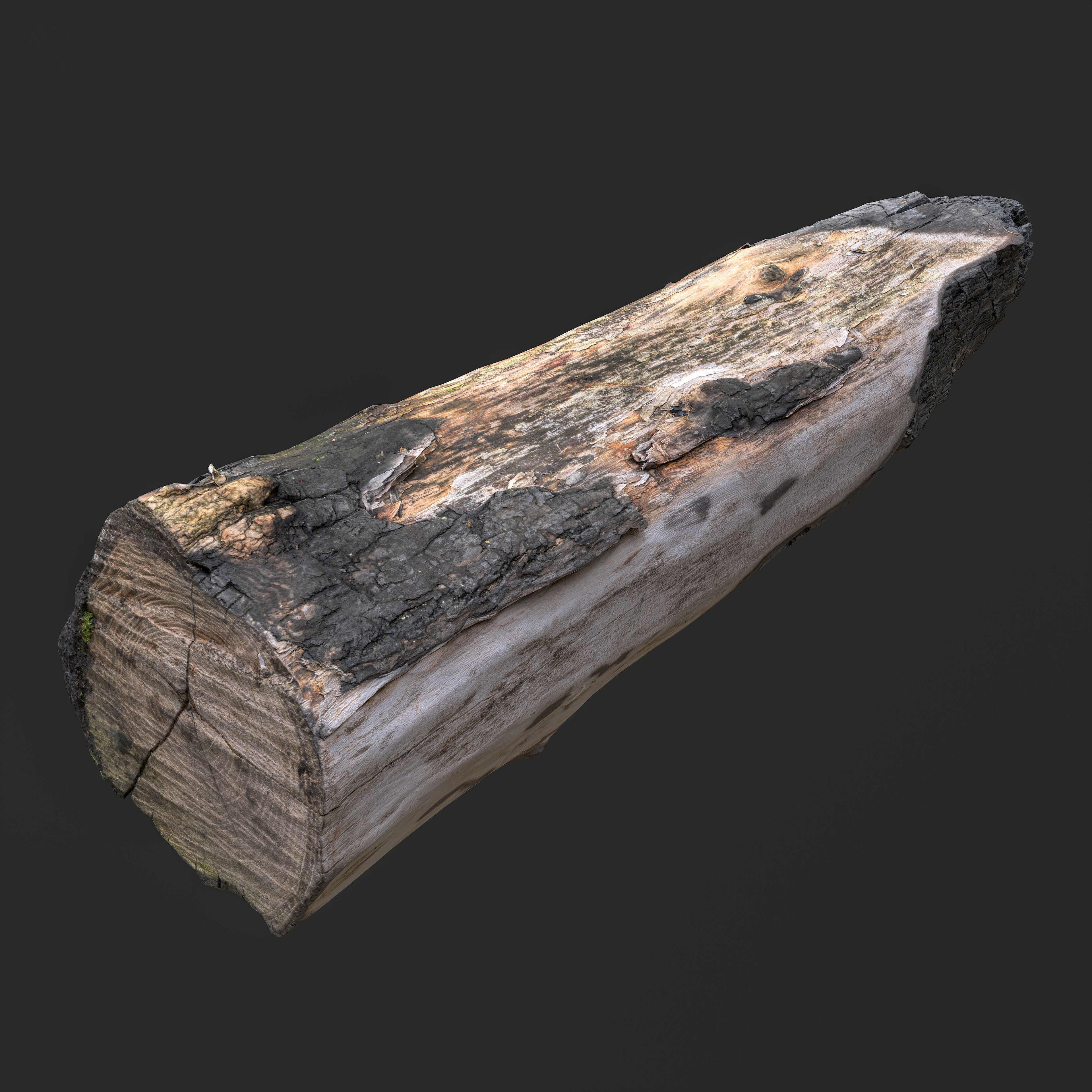 Realistic 3D model of a Burned Tree Log with charred bark, cracked fire-damaged wood, and exposed scorched grain captured using photogrammetry.