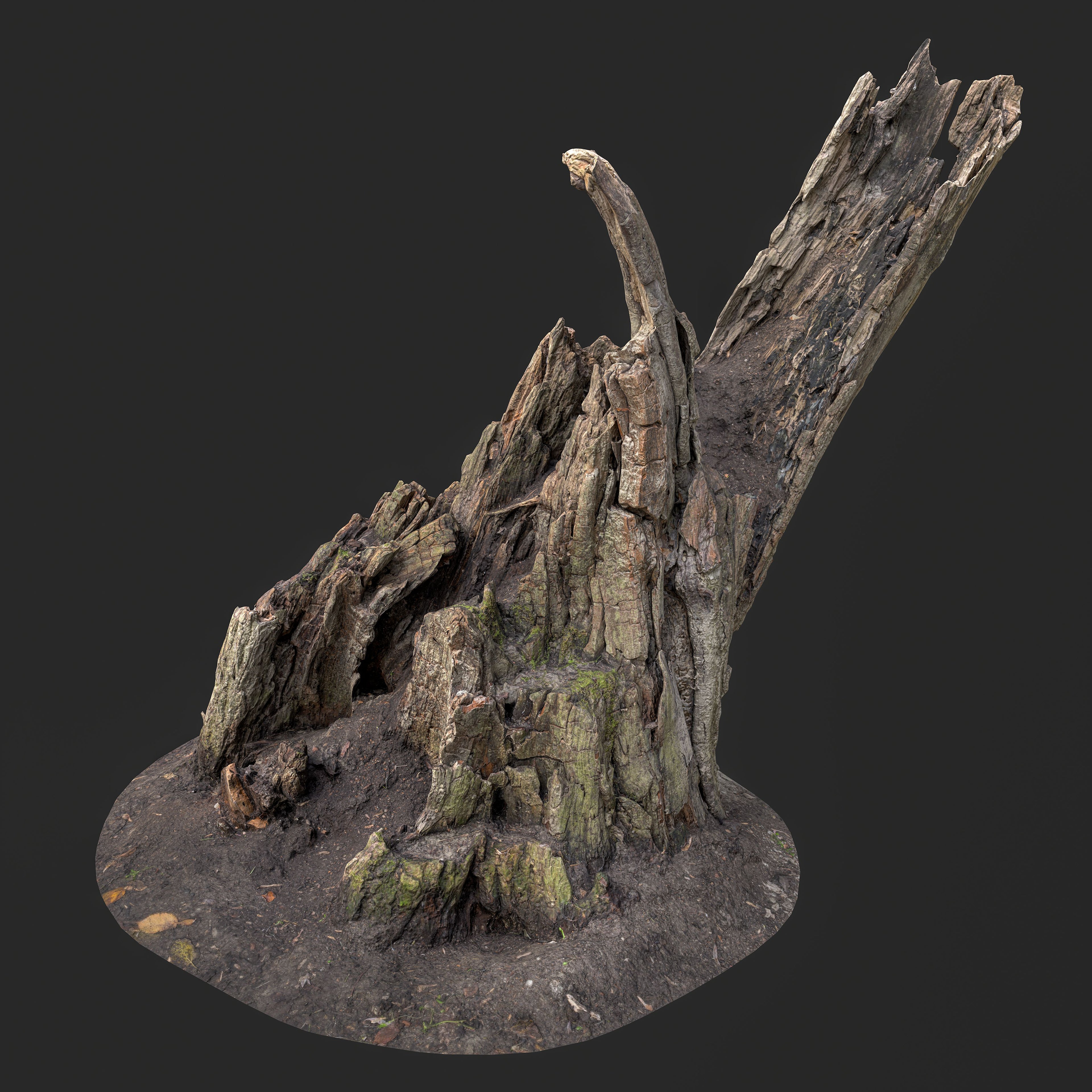 Real-world scanned 3D model of a weathered tree stump with exposed roots, optimized for game development and cinematic environments