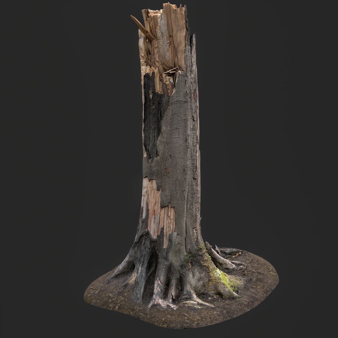 3D Burned Tree Trunk