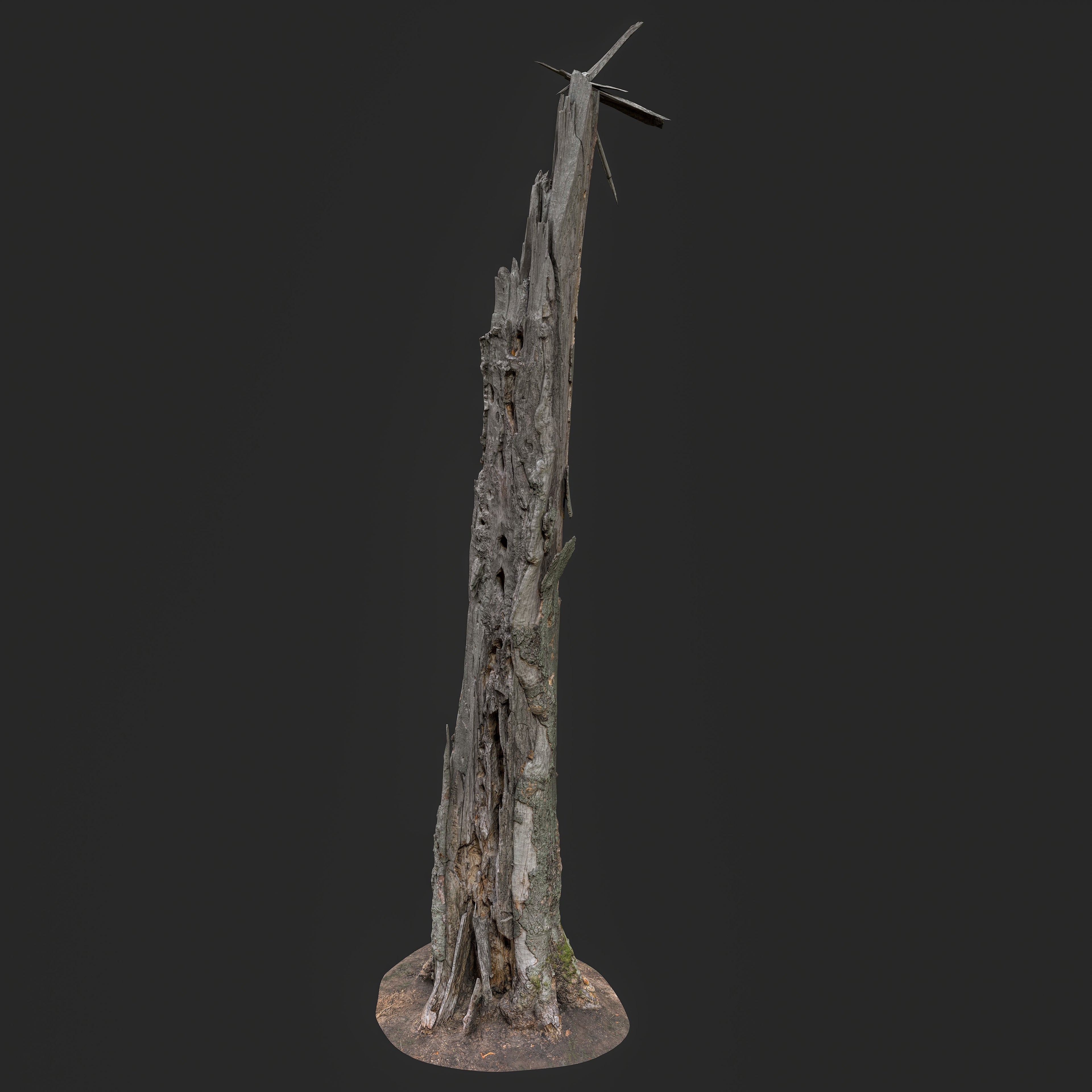 3D Weathered Dead Tree Trunk