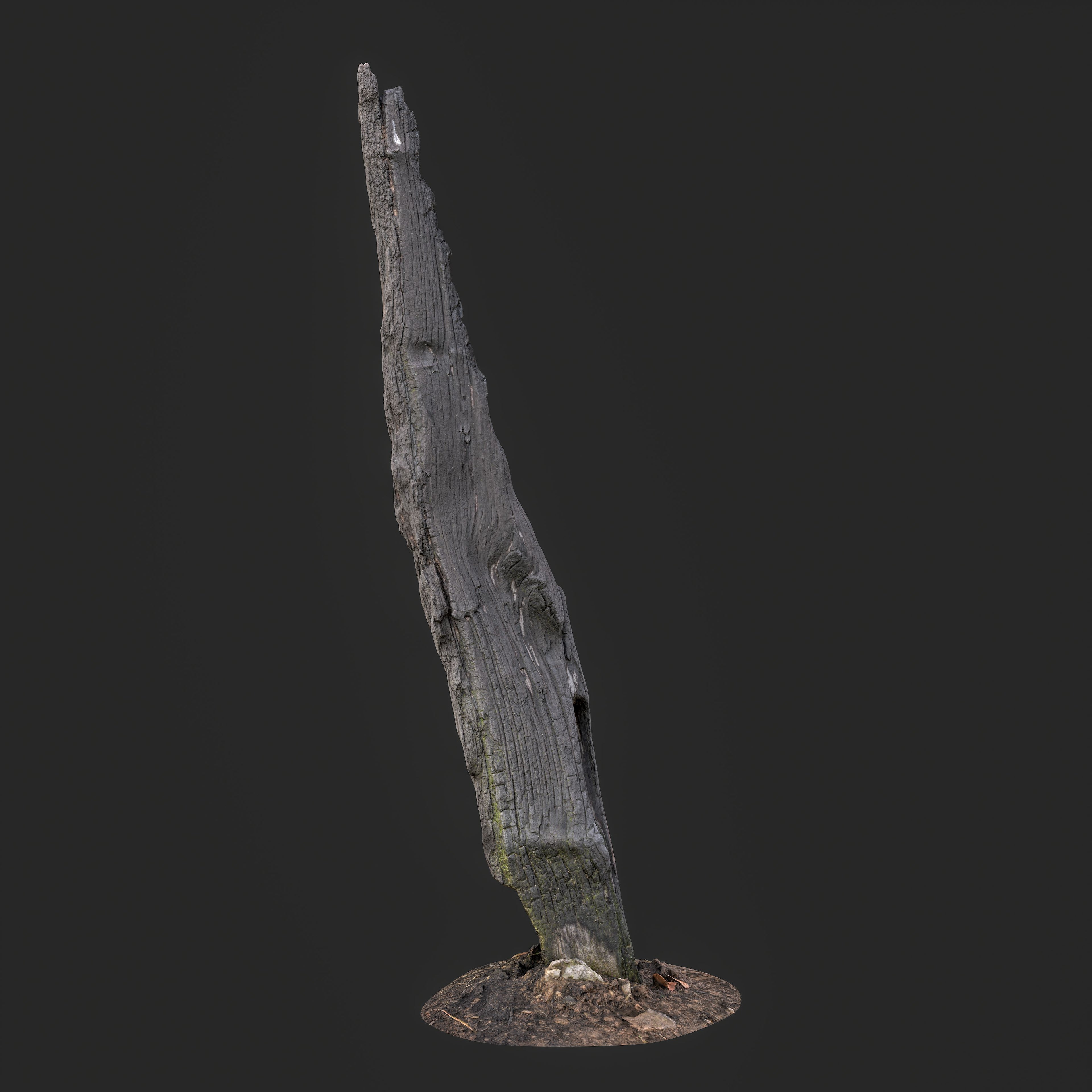 3D Charred Tree Trunk