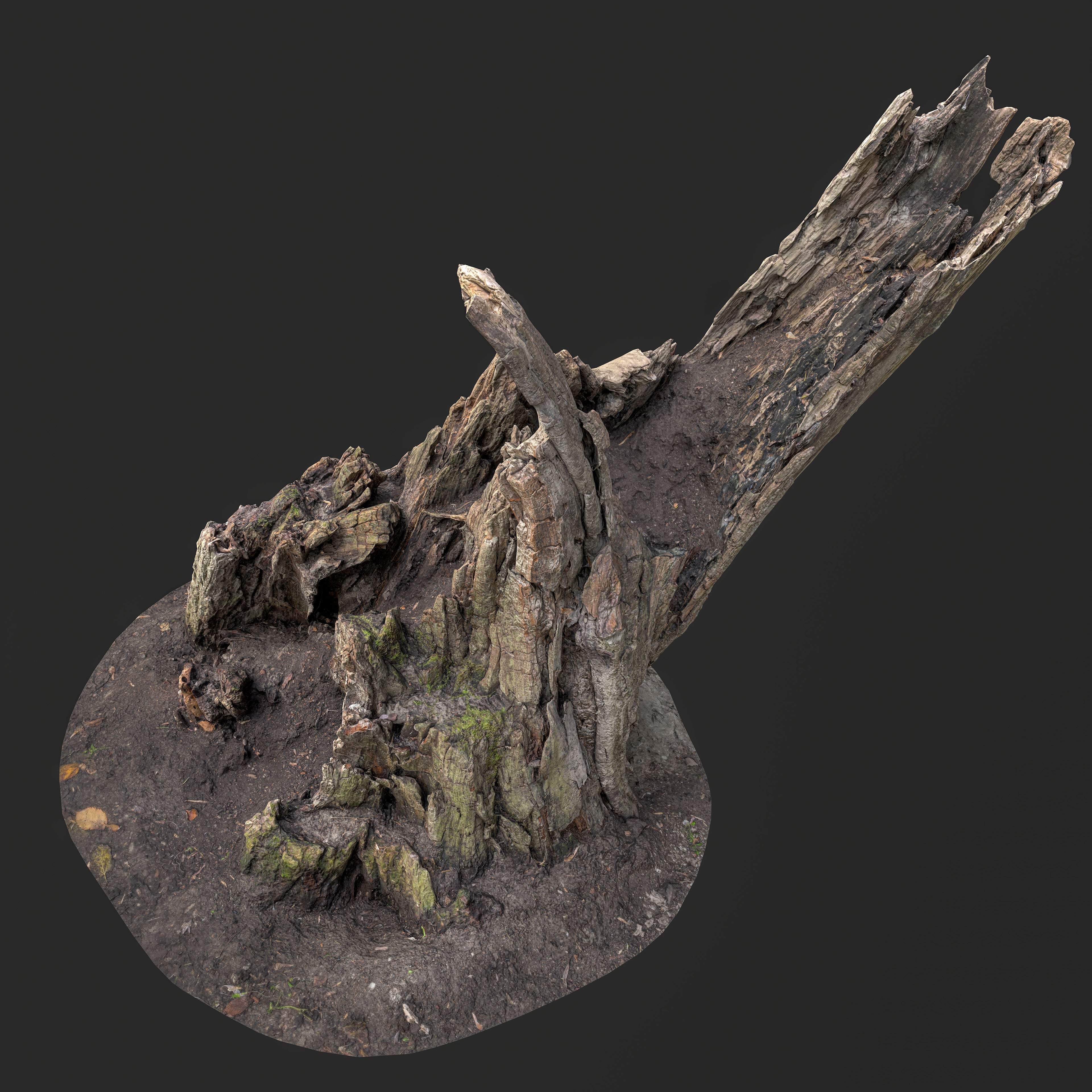 3D Weathered Tree Stump with Exposed Roots