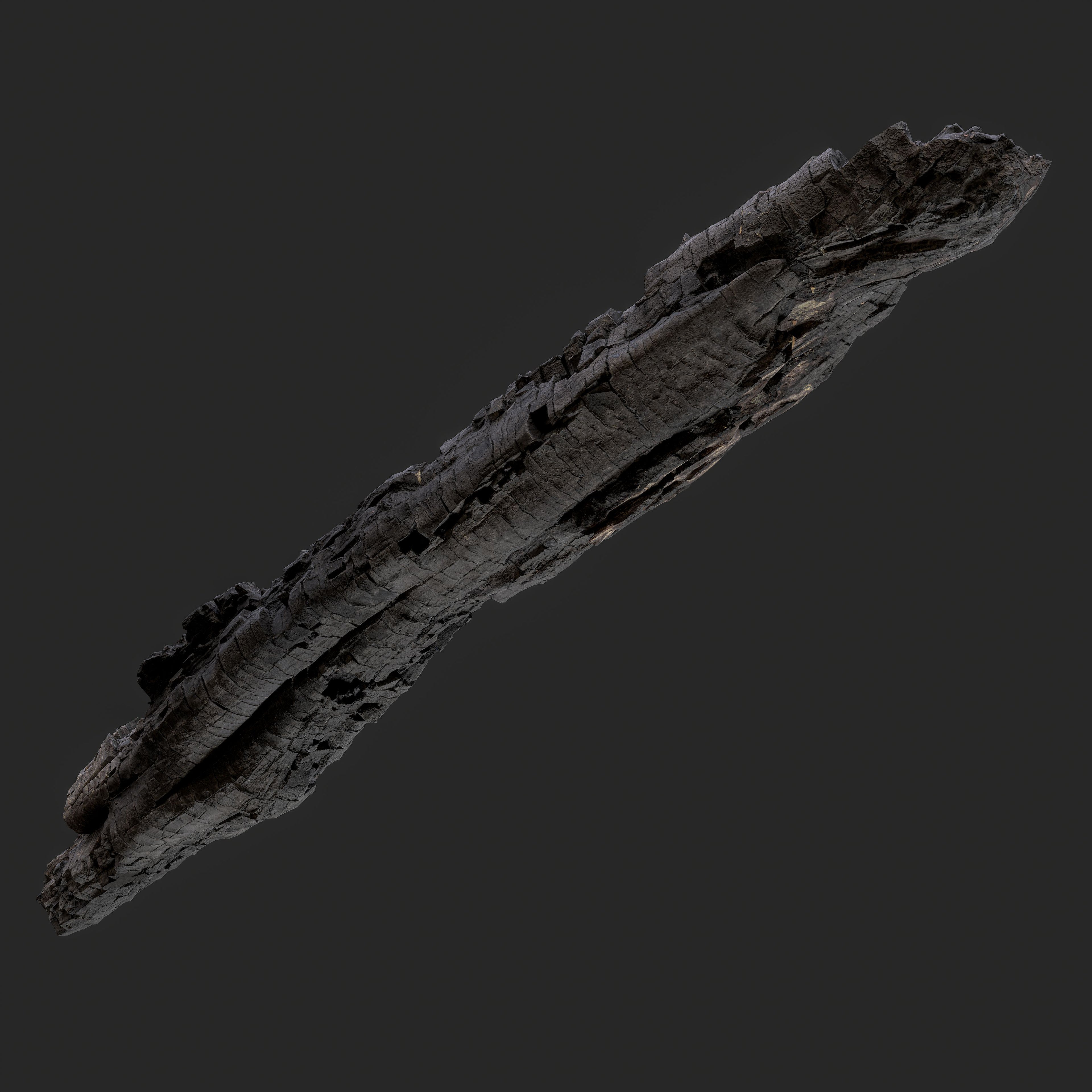 3D Charred Tree Trunk