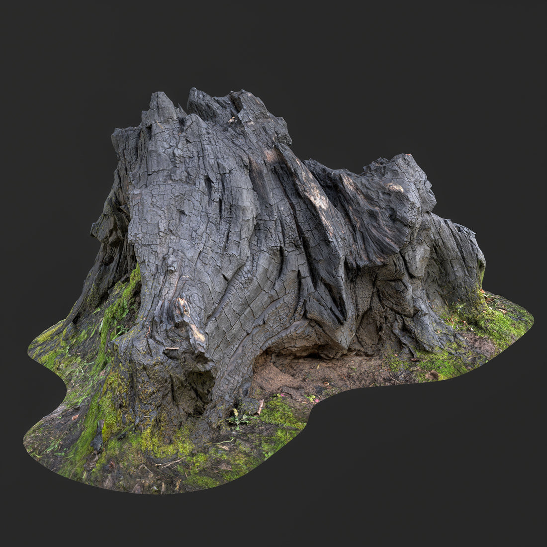 3D nature models featuring trees, rocks, stones, and natural debris, optimized for game development, VFX, and virtual production