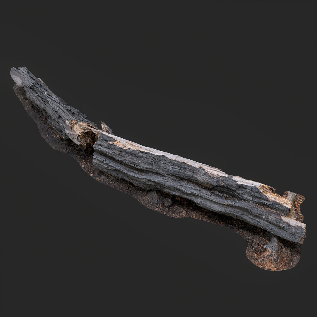 3D Burned Fallen Tree Trunk