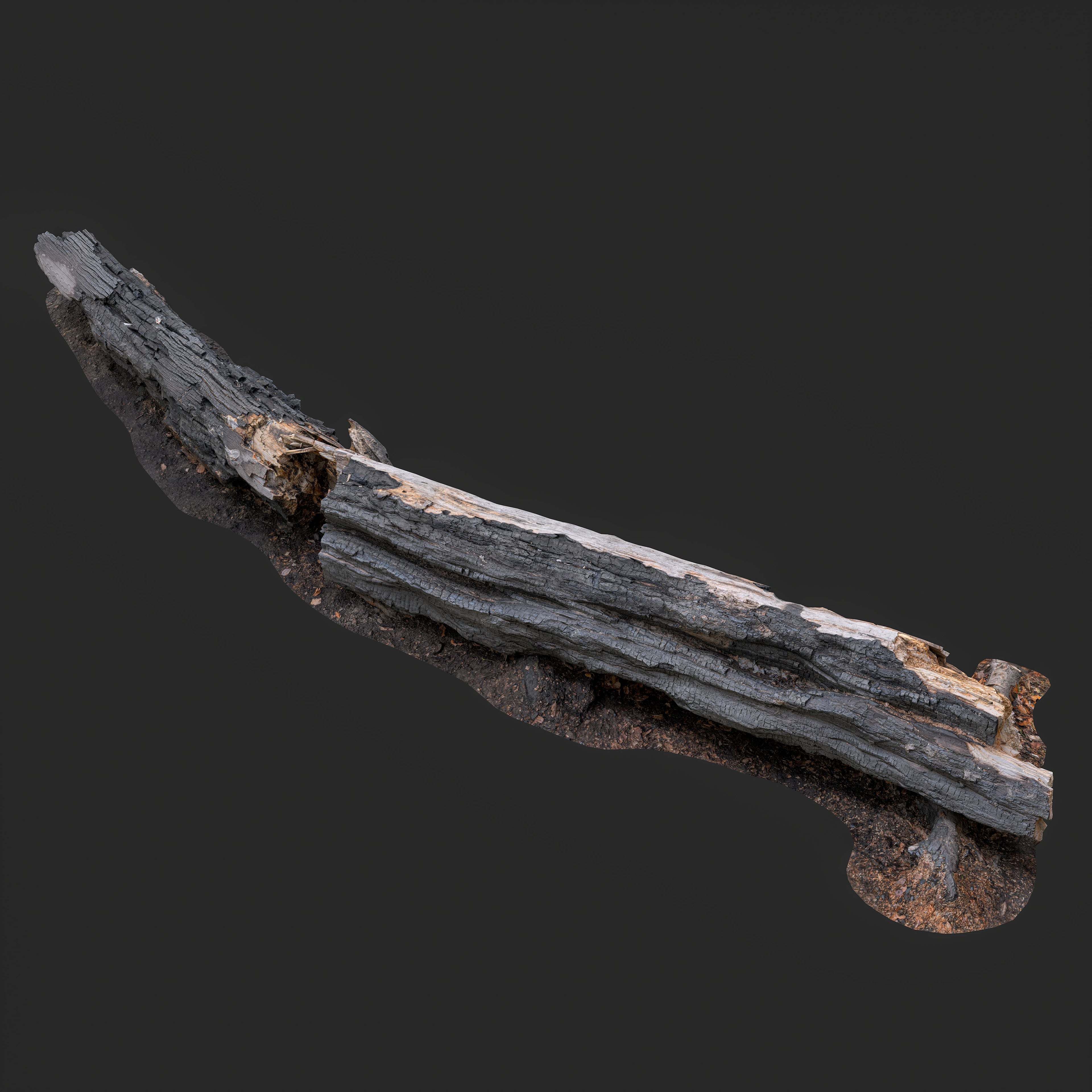 3D Burned Fallen Tree Trunk