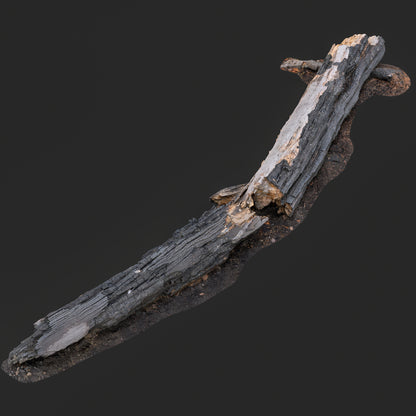 3D Burned Fallen Tree Trunk