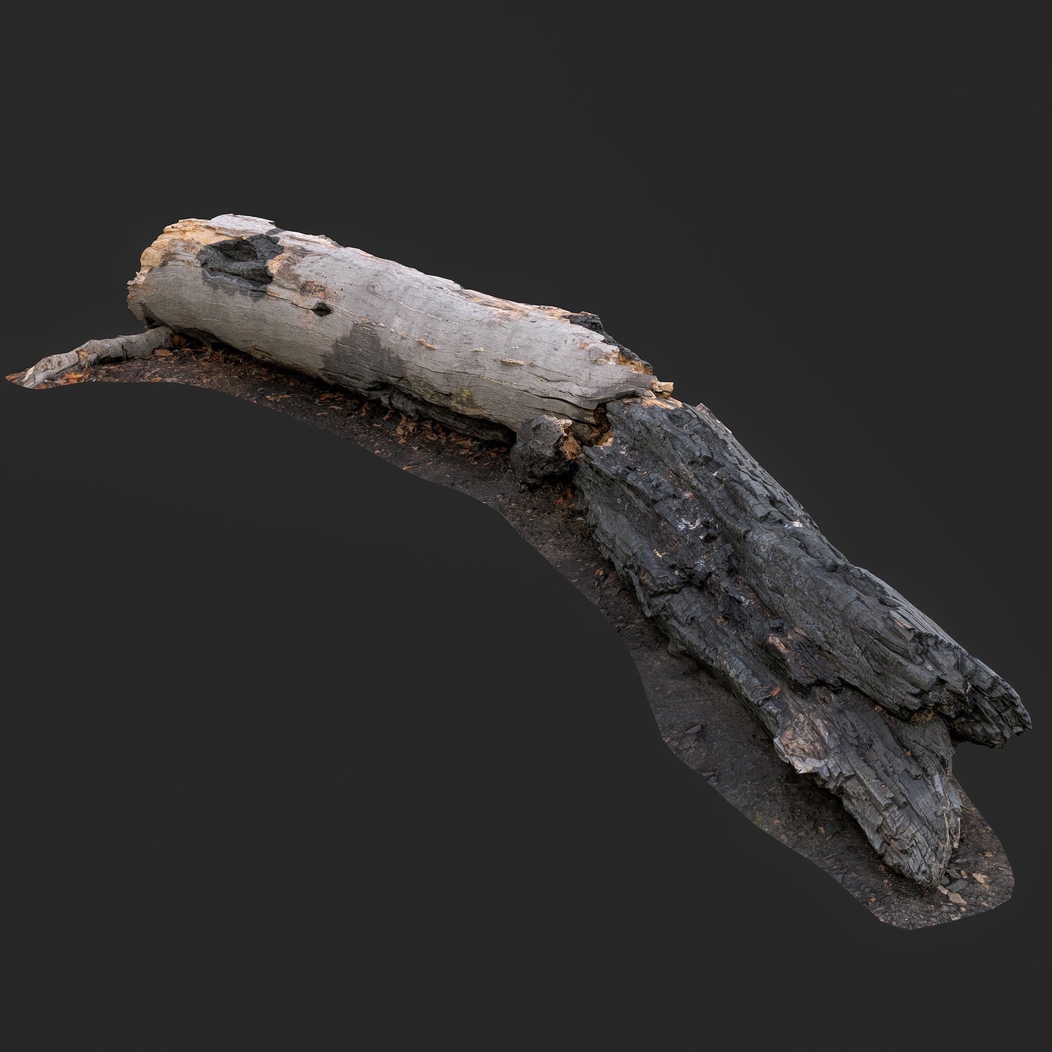 3D Burned Fallen Tree Trunk