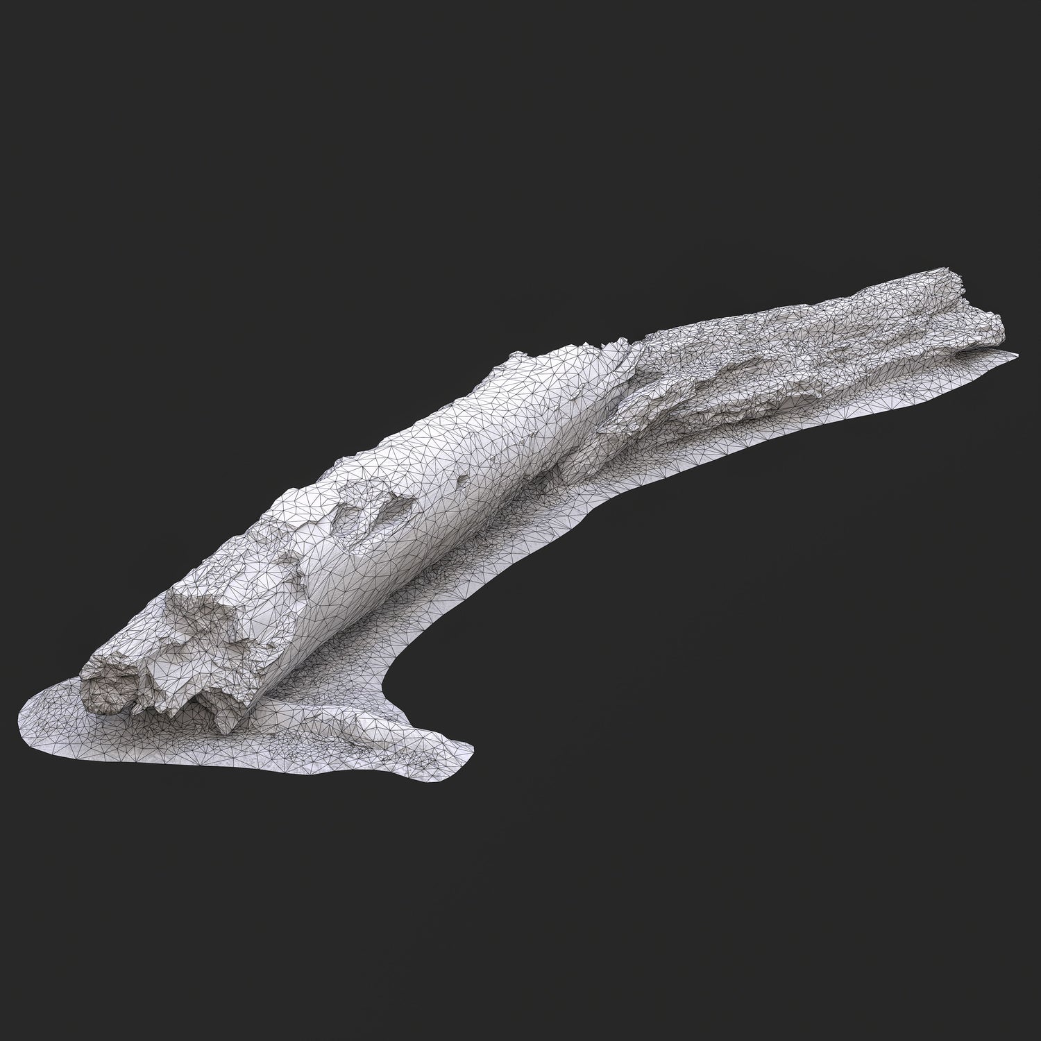 3D Burned Fallen Tree Trunk