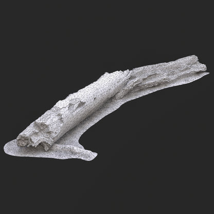 3D Burned Fallen Tree Trunk