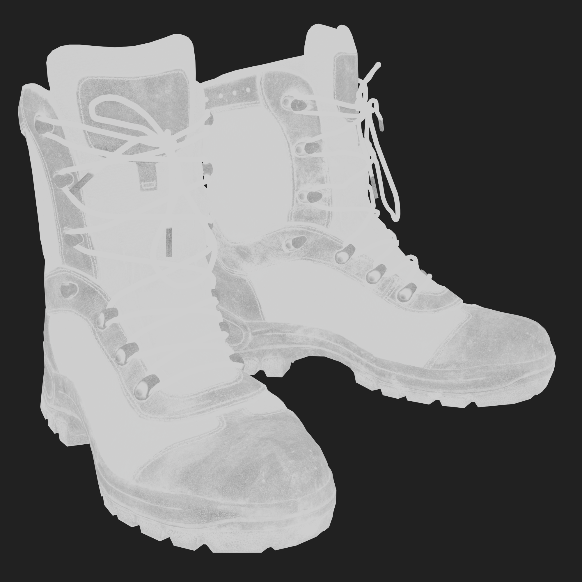 Military Boots