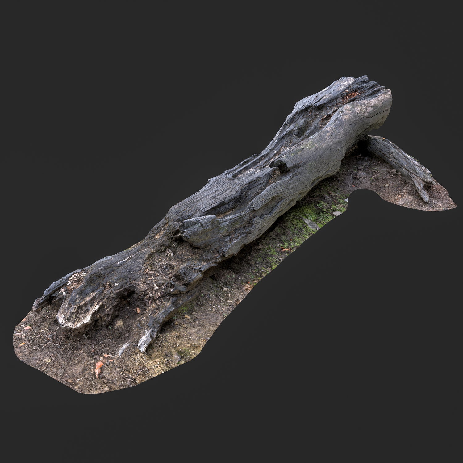 3D Burned Tree Trunk