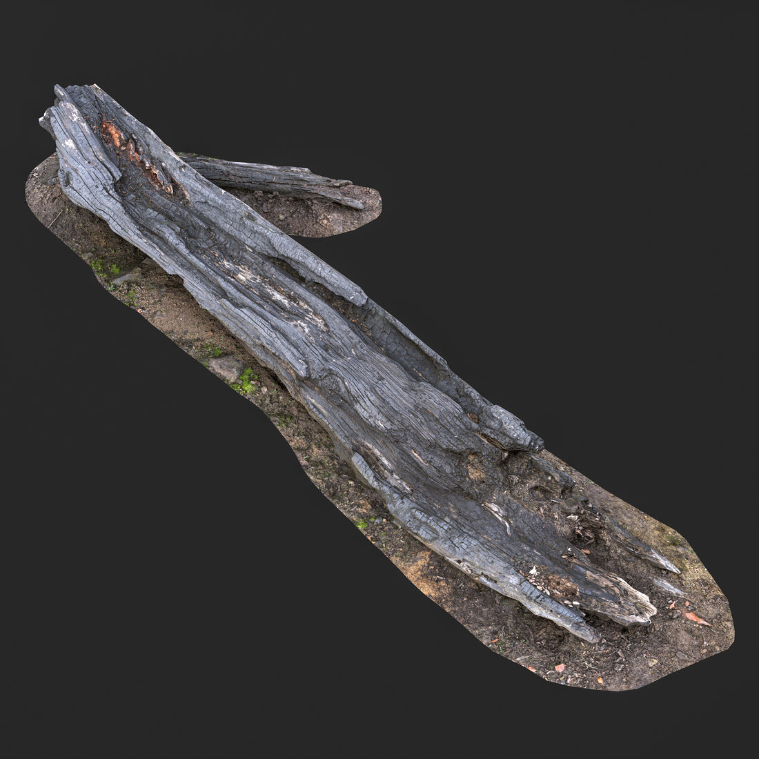 3D Burned Tree Trunk