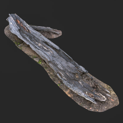 3D Burned Tree Trunk