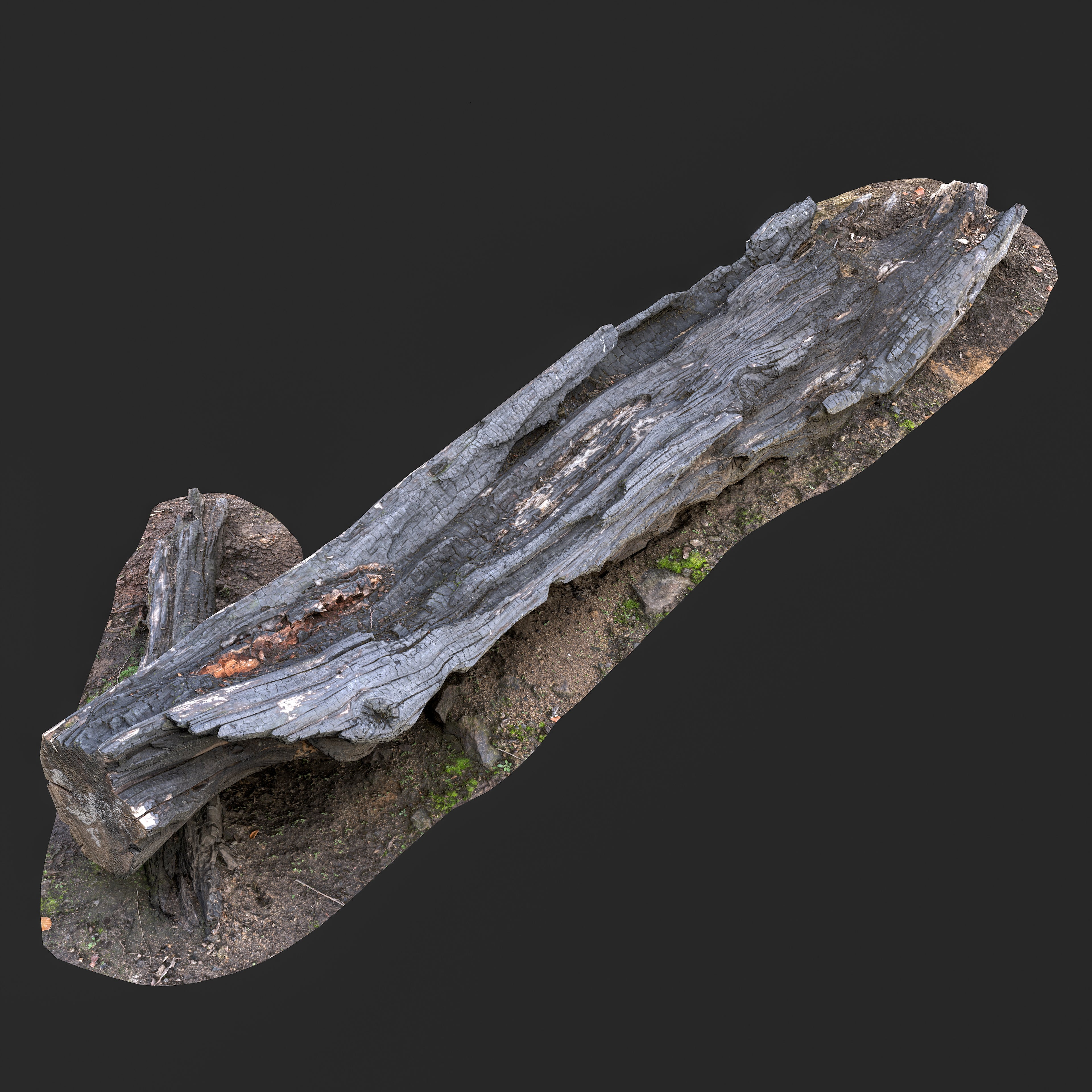 3D Burned Tree Trunk