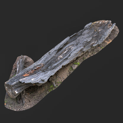 3D Burned Tree Trunk