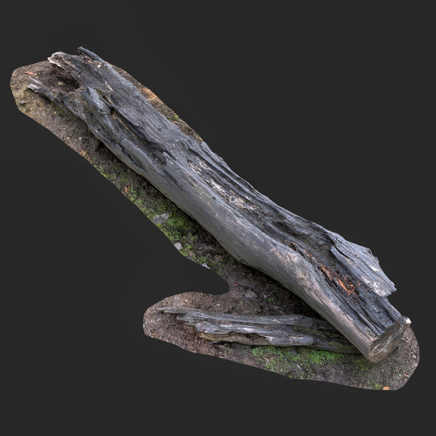 3D Burned Tree Trunk