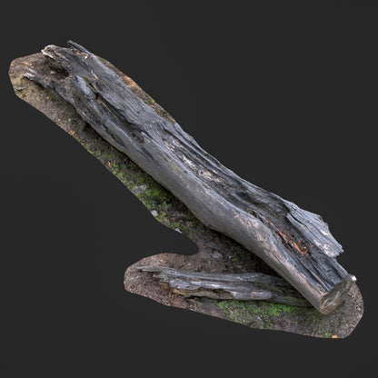 3D Burned Tree Trunk