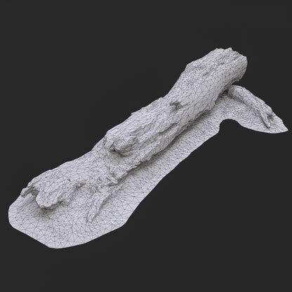 3D Burned Tree Trunk