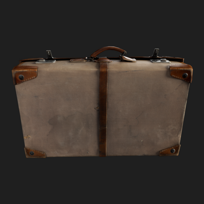 3D Travel Vintage Suitcase