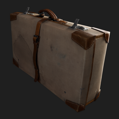 3D Travel Vintage Suitcase
