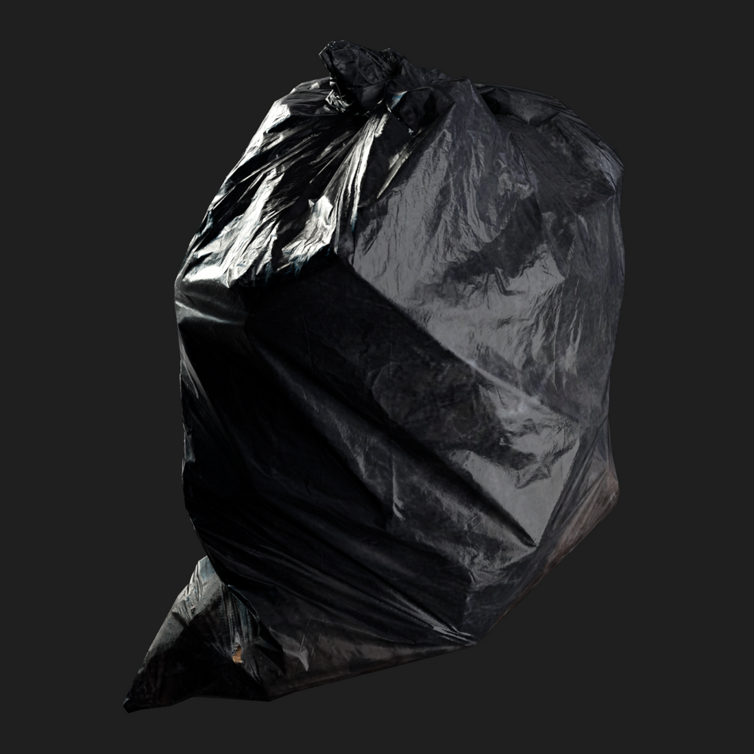 3D Model of Garbage Bag