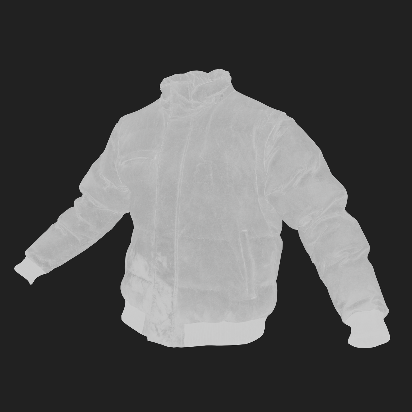 Men's Winter Jacket