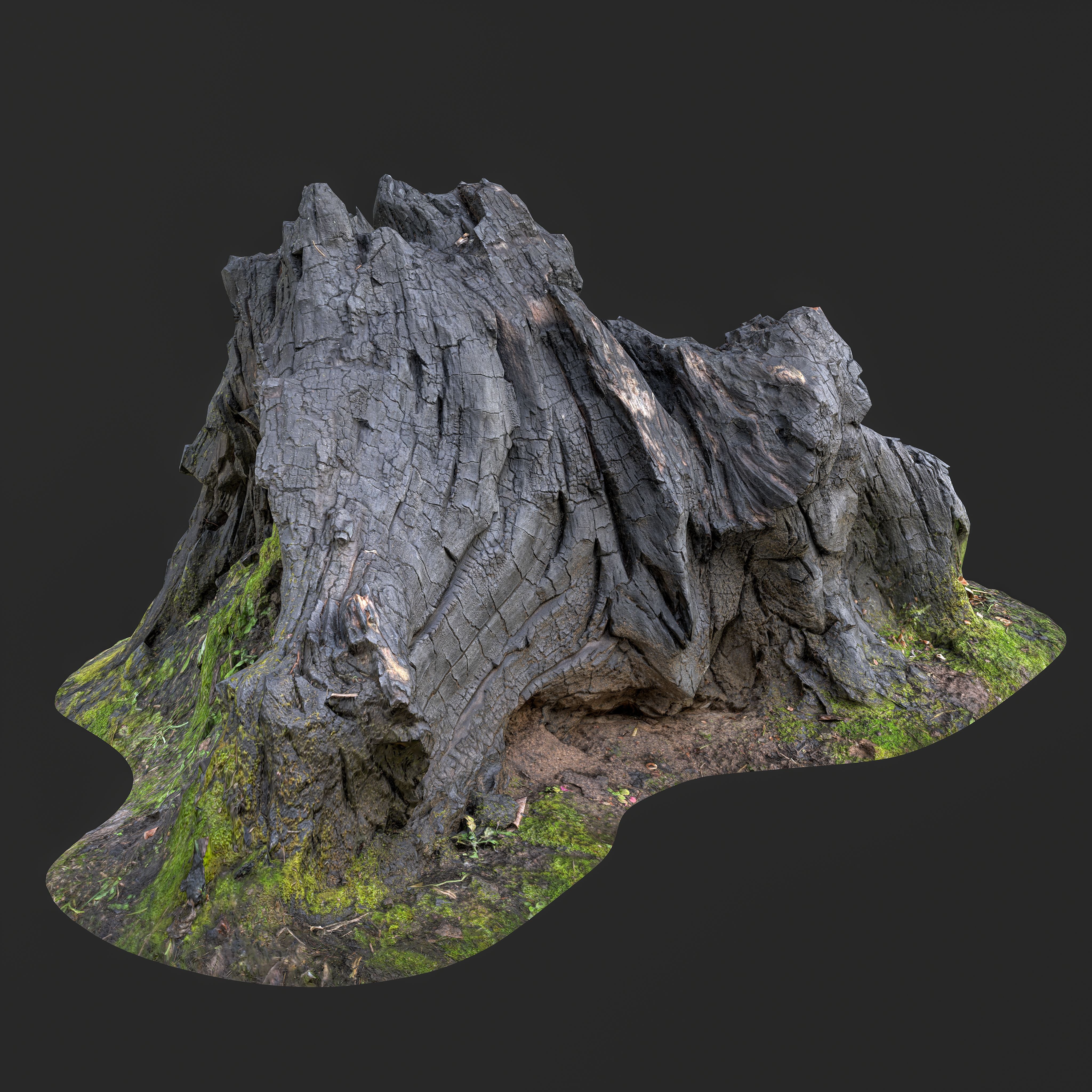 Burned Tree Roots 3D Model - Game Environment Asset | VR4D