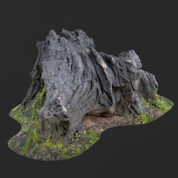 Burned Tree Roots 3D Model - Ready to use game asset (FBX)