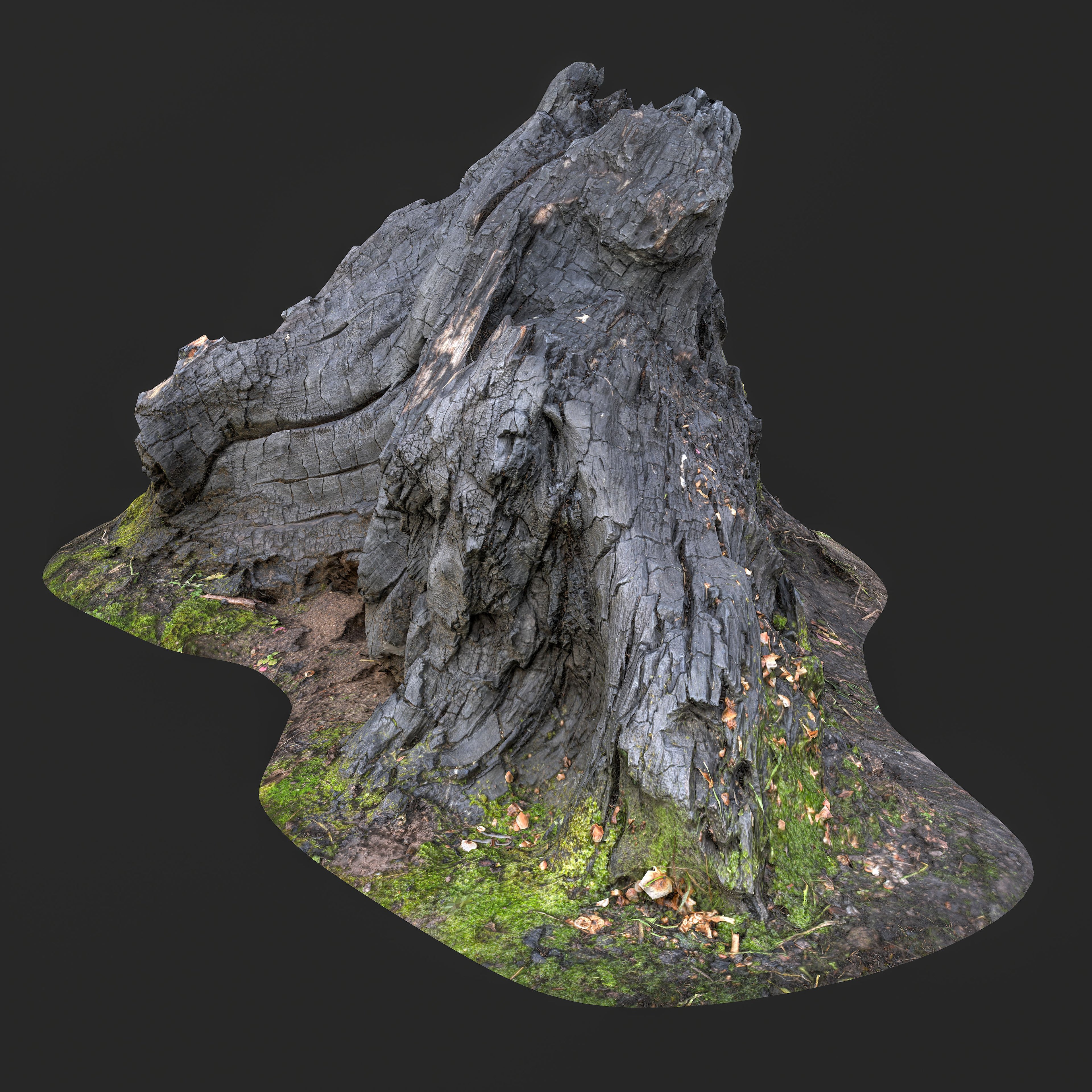 3D Burned Tree Roots