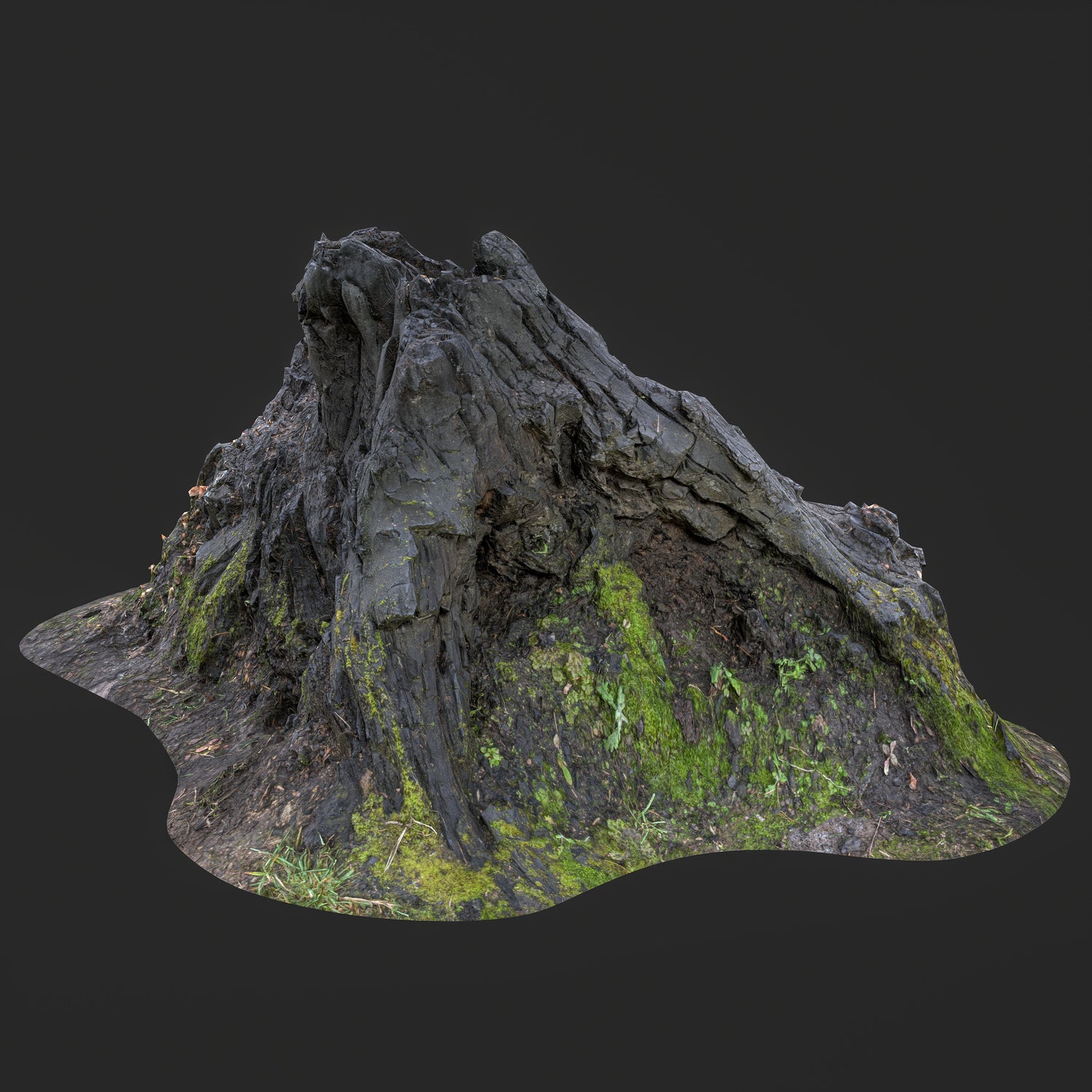 3D Burned Tree Roots