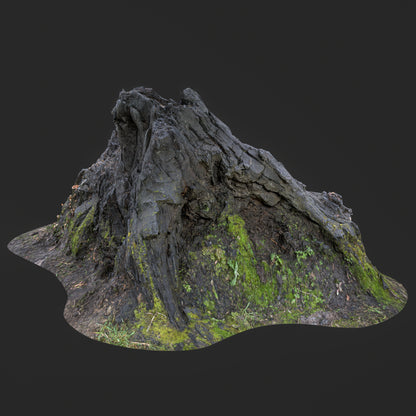 3D Burned Tree Roots