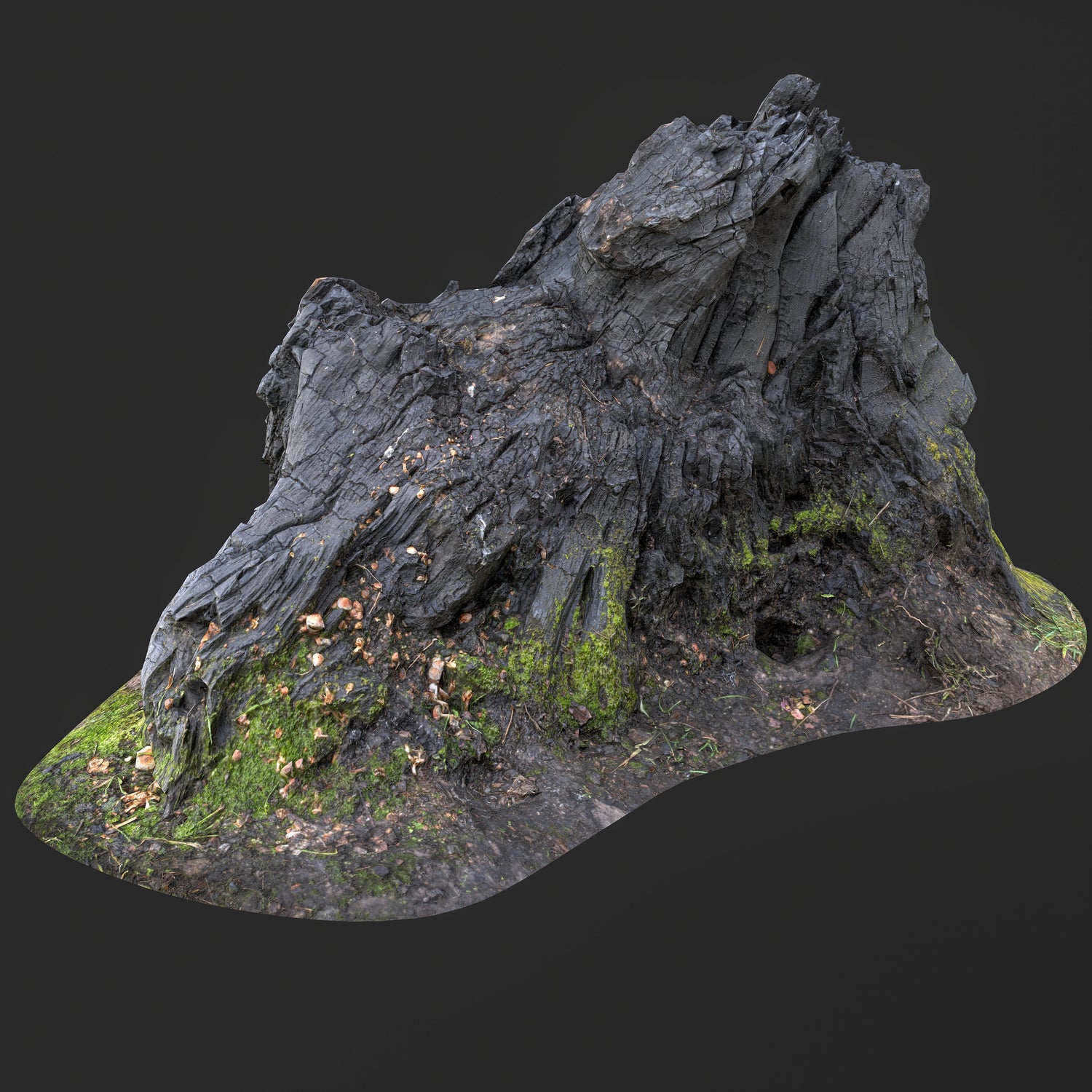 3D Burned Tree Roots