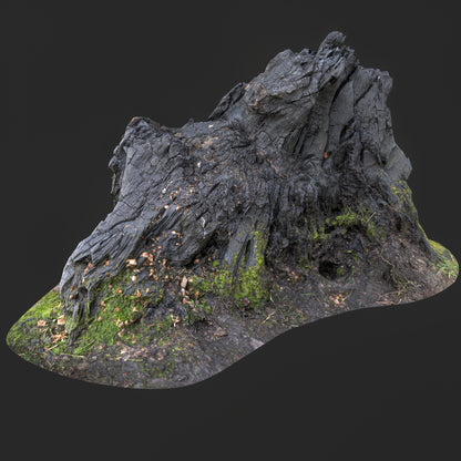 3D Burned Tree Roots