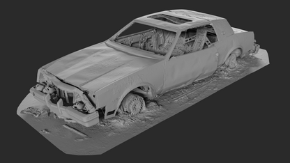 3D Burned-Out Buick Riviera