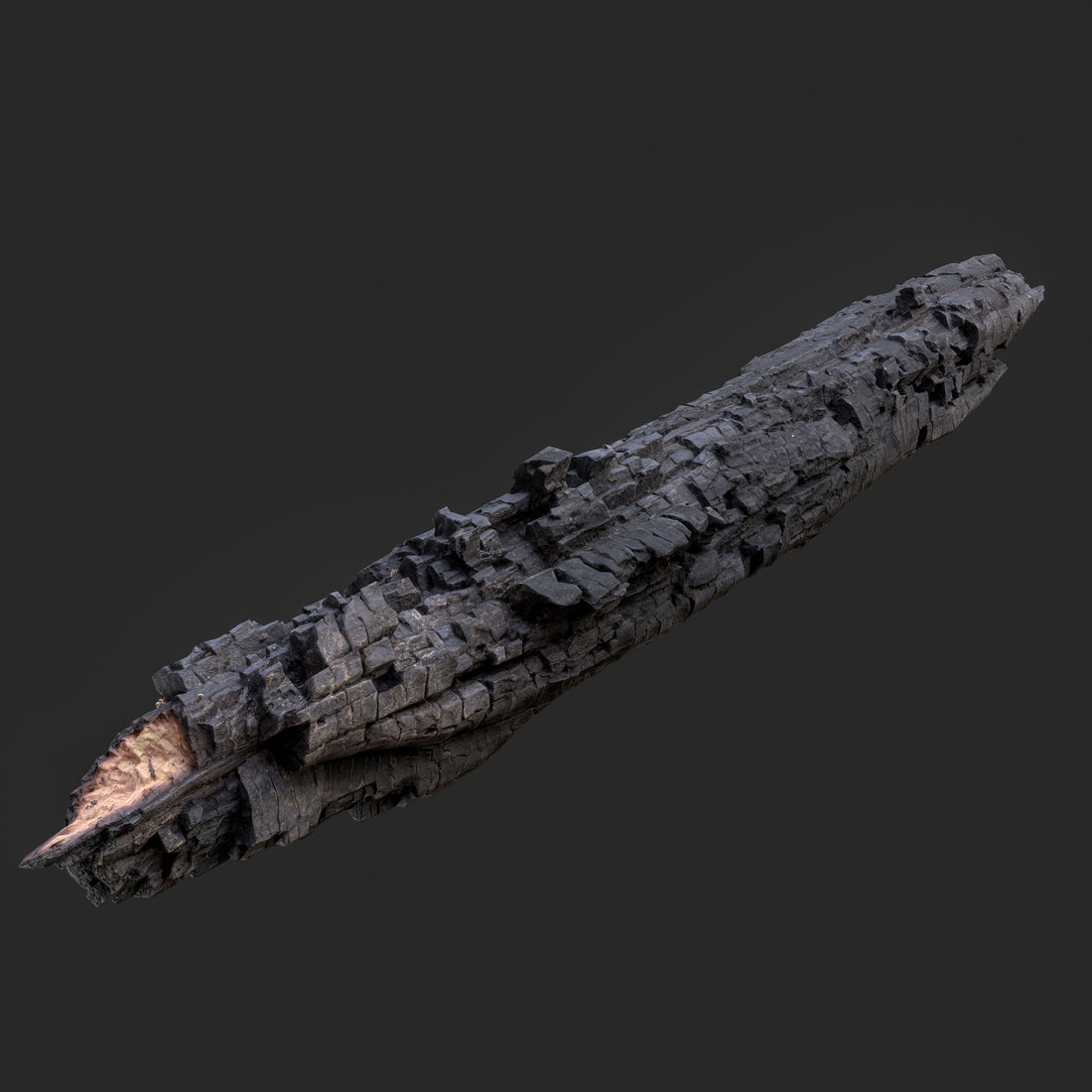 3D Charred Tree Trunk